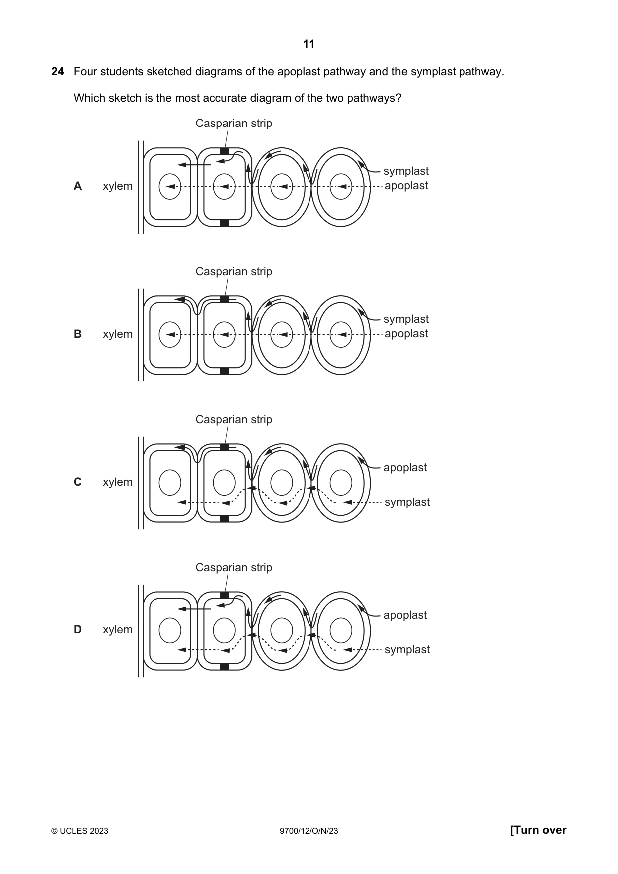 Cambridge A Level Biology 9700 2023 Oct/Nov Paper 1 · Variant 2 question paper, page 11 of 20