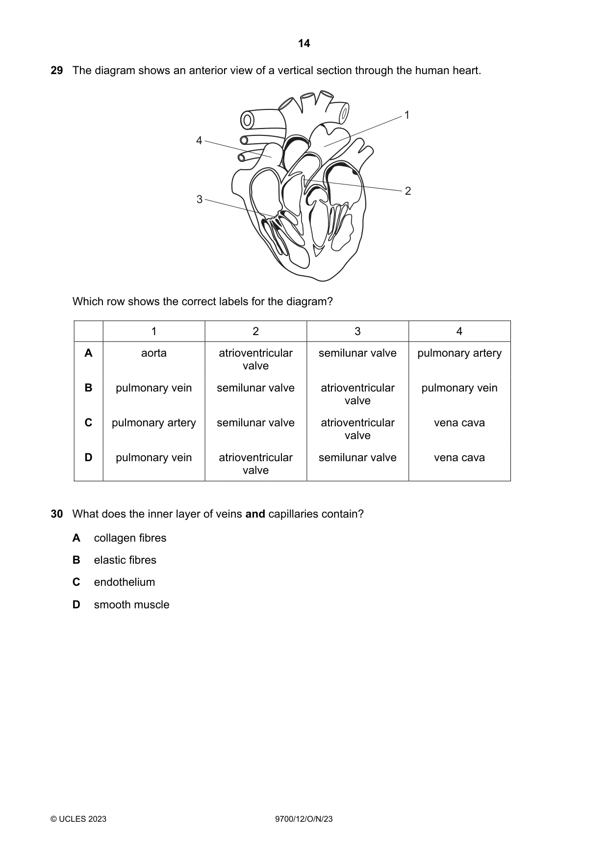 Cambridge A Level Biology 9700 2023 Oct/Nov Paper 1 · Variant 2 question paper, page 14 of 20