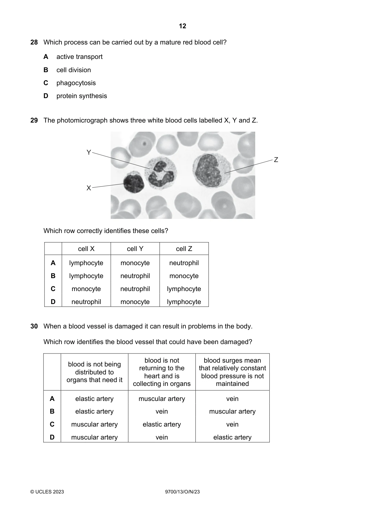 Cambridge A Level Biology 9700 2023 Oct/Nov Paper 1 · Variant 3 question paper, page 12 of 16