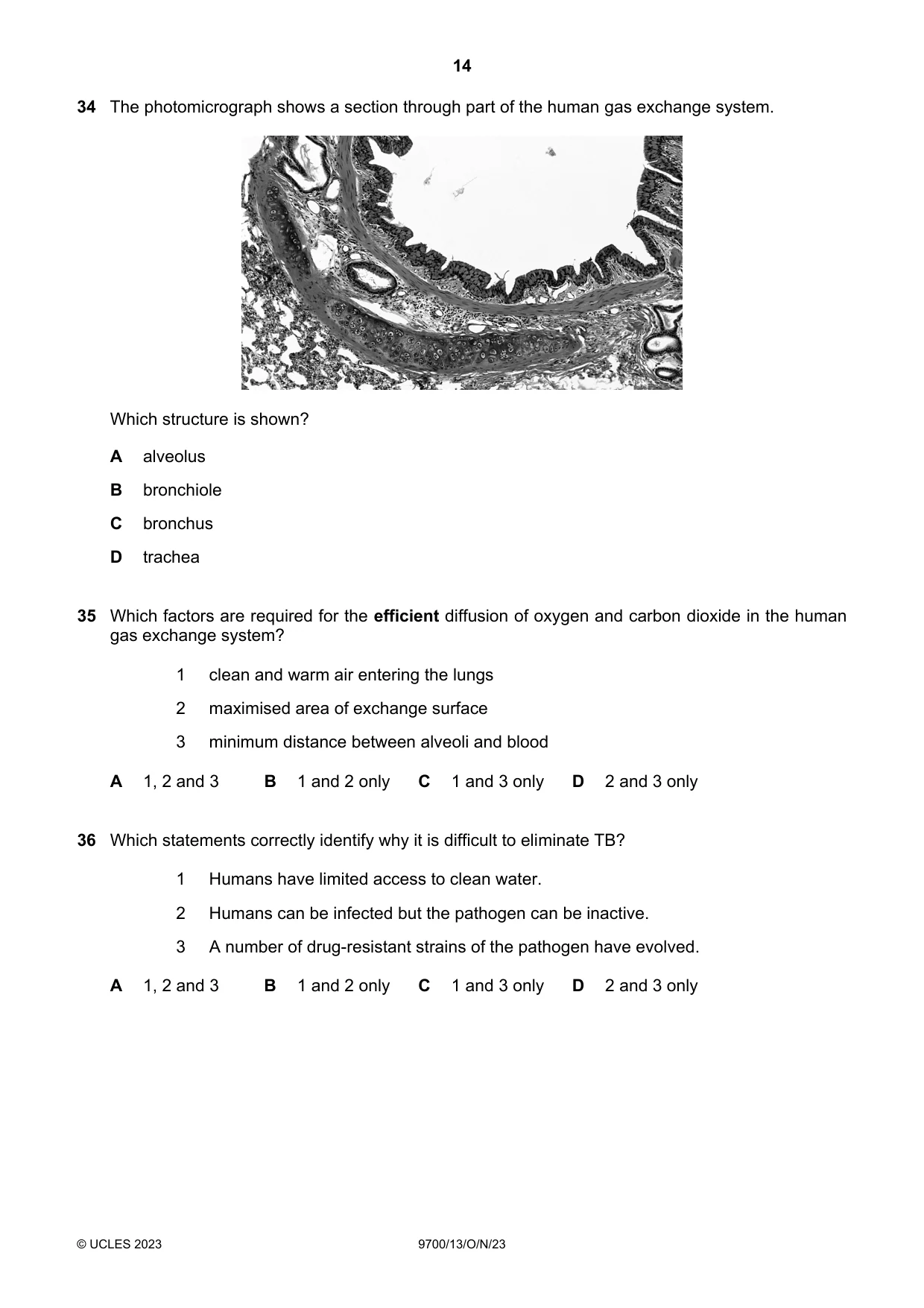 Cambridge A Level Biology 9700 2023 Oct/Nov Paper 1 · Variant 3 question paper, page 14 of 16