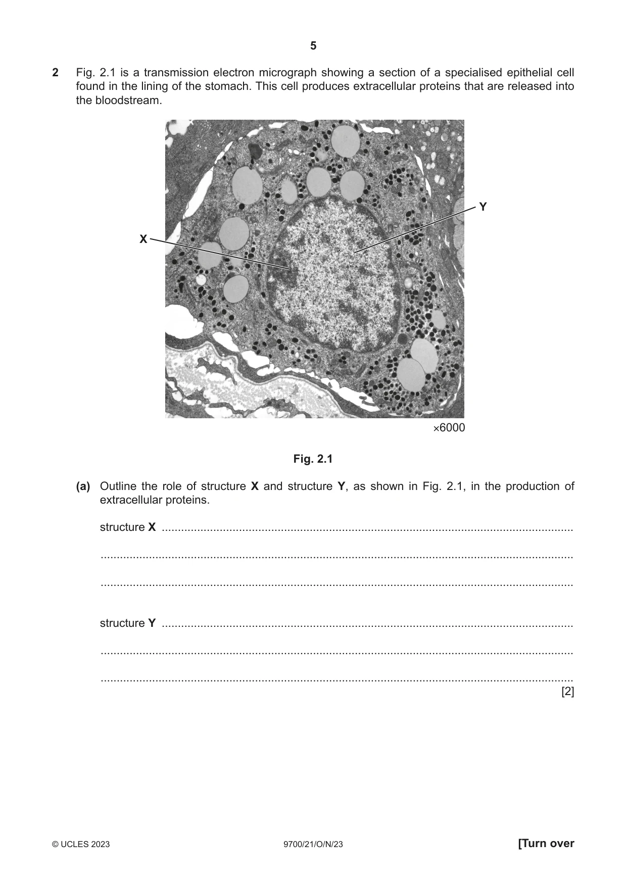Cambridge A Level Biology 9700 2023 Oct/Nov Paper 2 · Variant 1 question paper, page 5 of 20