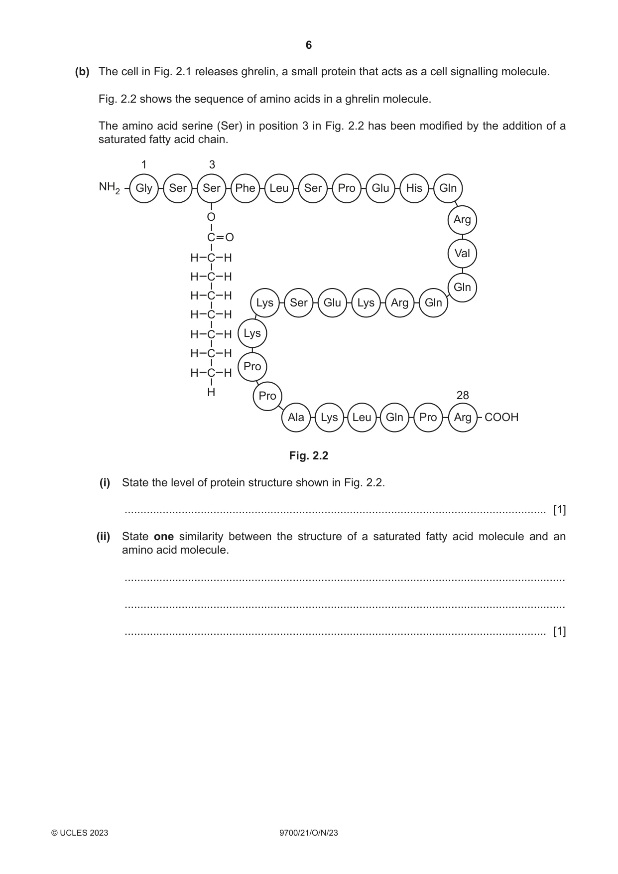 Cambridge A Level Biology 9700 2023 Oct/Nov Paper 2 · Variant 1 question paper, page 6 of 20