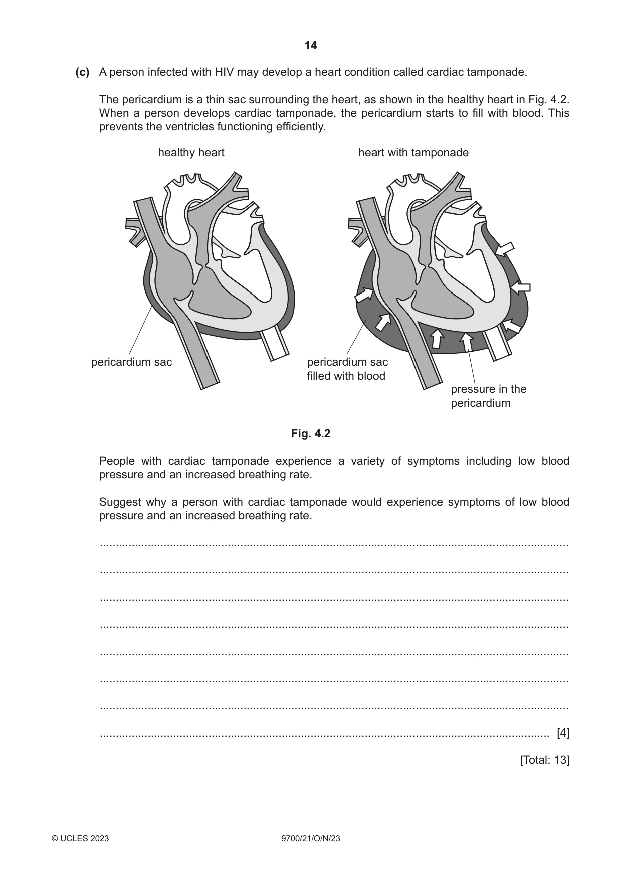 Cambridge A Level Biology 9700 2023 Oct/Nov Paper 2 · Variant 1 question paper, page 14 of 20
