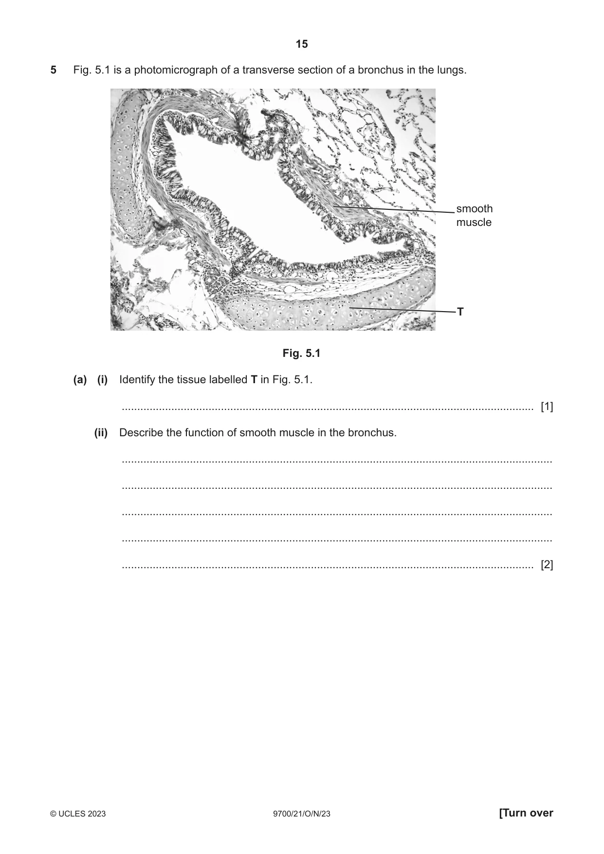 Cambridge A Level Biology 9700 2023 Oct/Nov Paper 2 · Variant 1 question paper, page 15 of 20