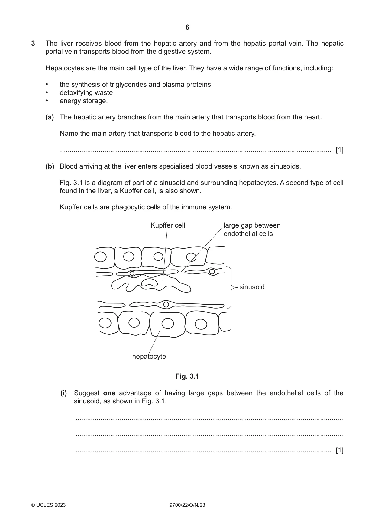Cambridge A Level Biology 9700 2023 Oct/Nov Paper 2 · Variant 2 question paper, page 6 of 16