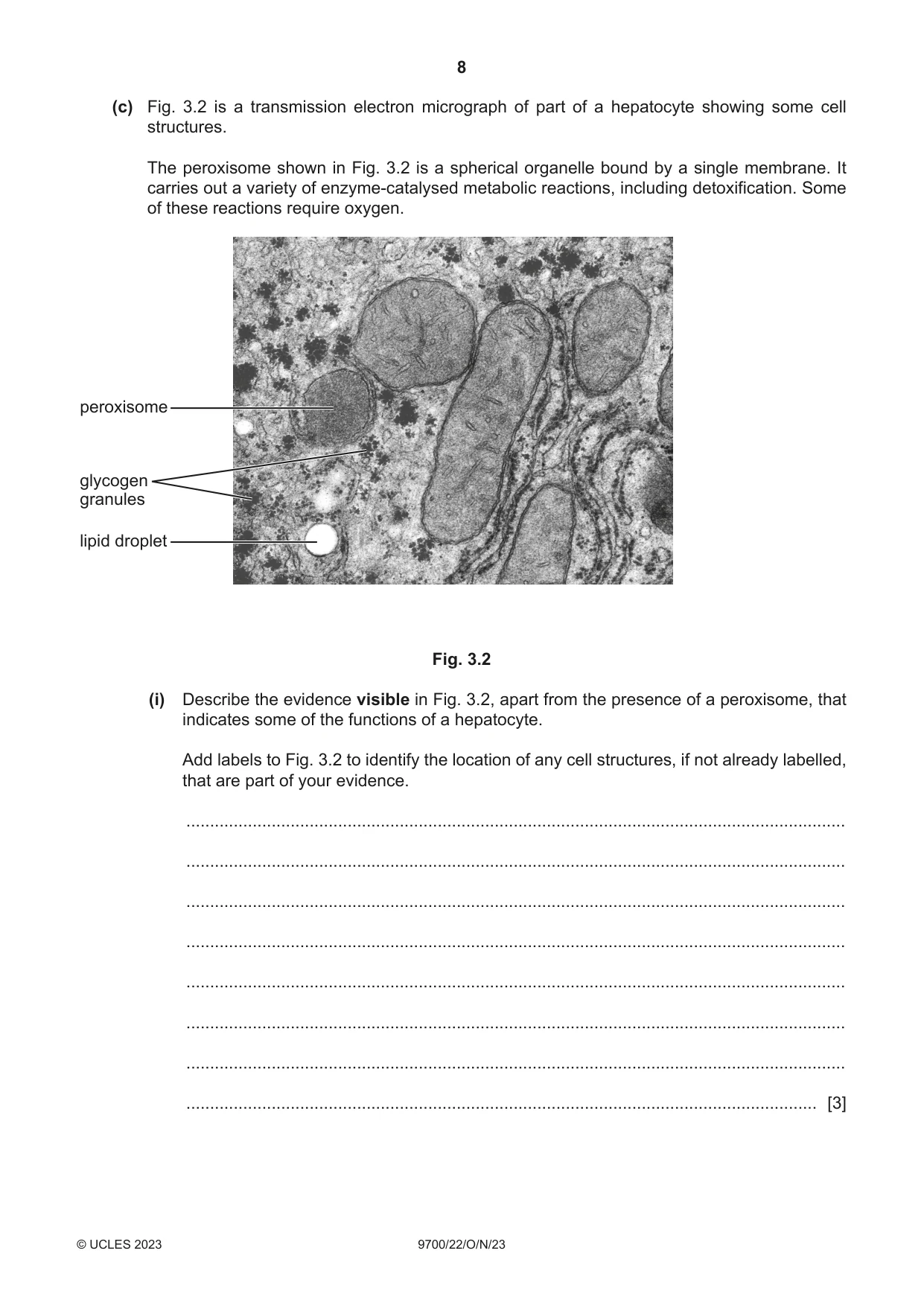 Cambridge A Level Biology 9700 2023 Oct/Nov Paper 2 · Variant 2 question paper, page 8 of 16