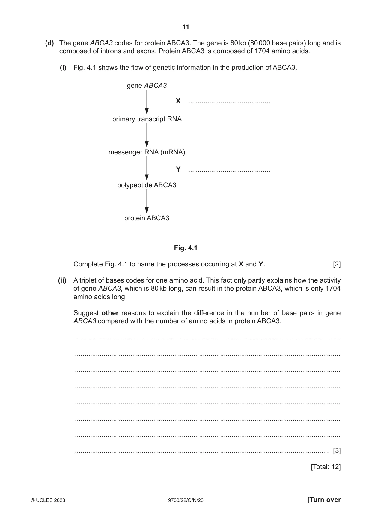 Cambridge A Level Biology 9700 2023 Oct/Nov Paper 2 · Variant 2 question paper, page 11 of 16
