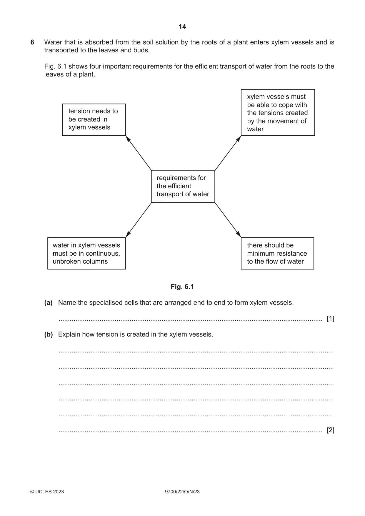 Cambridge A Level Biology 9700 2023 Oct/Nov Paper 2 · Variant 2 question paper, page 14 of 16