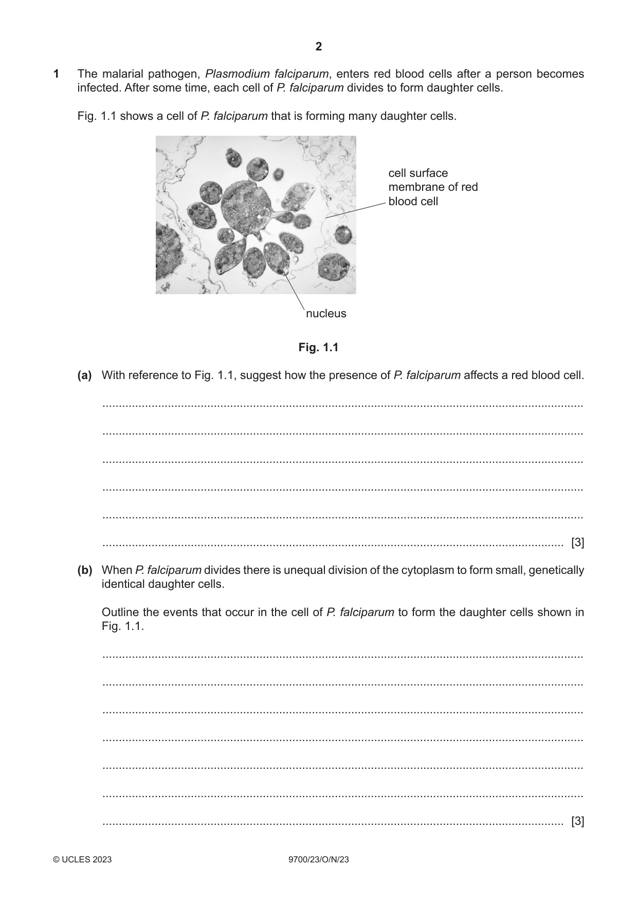Cambridge A Level Biology 9700 2023 Oct/Nov Paper 2 · Variant 3 question paper, page 2 of 16