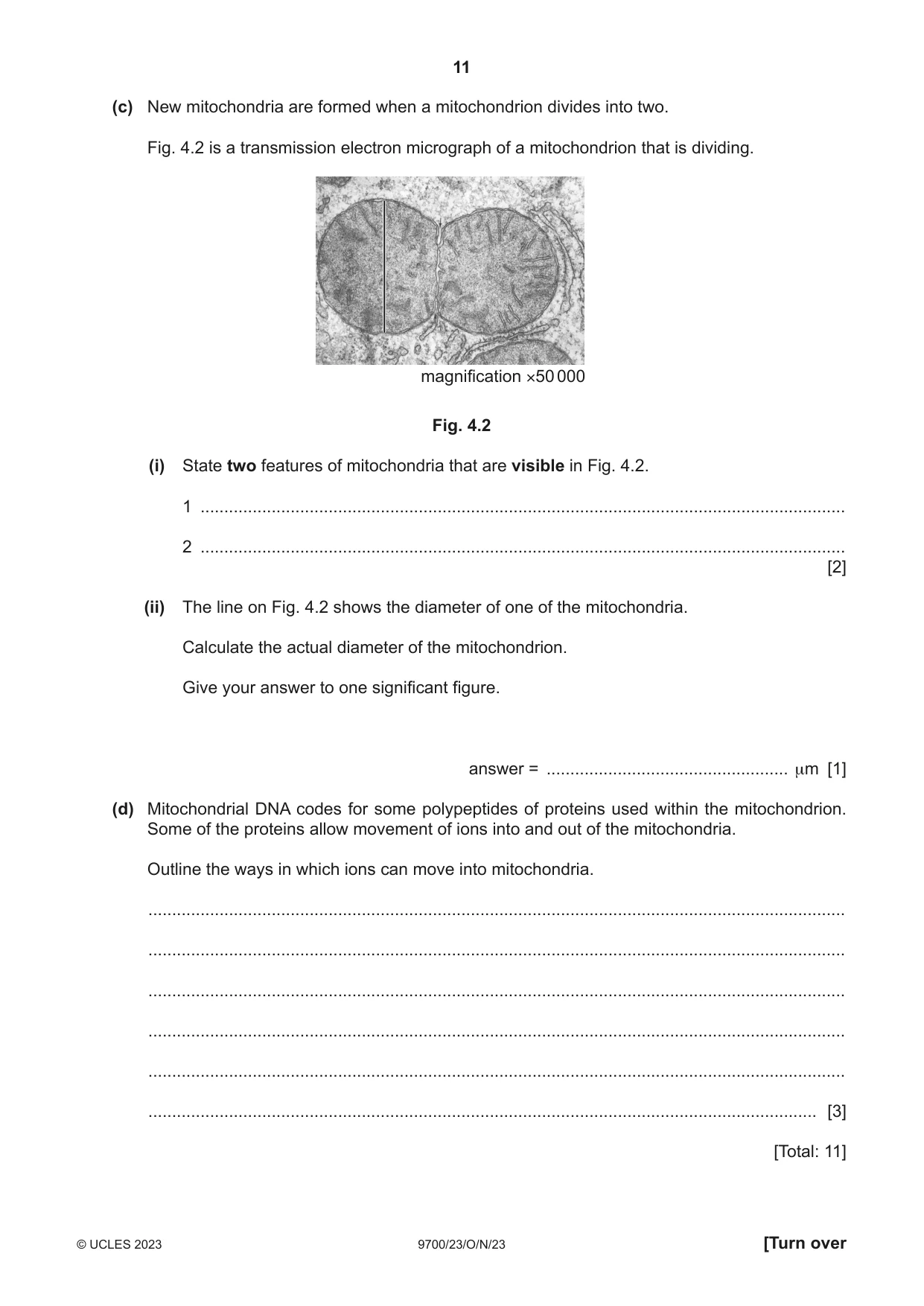 Cambridge A Level Biology 9700 2023 Oct/Nov Paper 2 · Variant 3 question paper, page 11 of 16