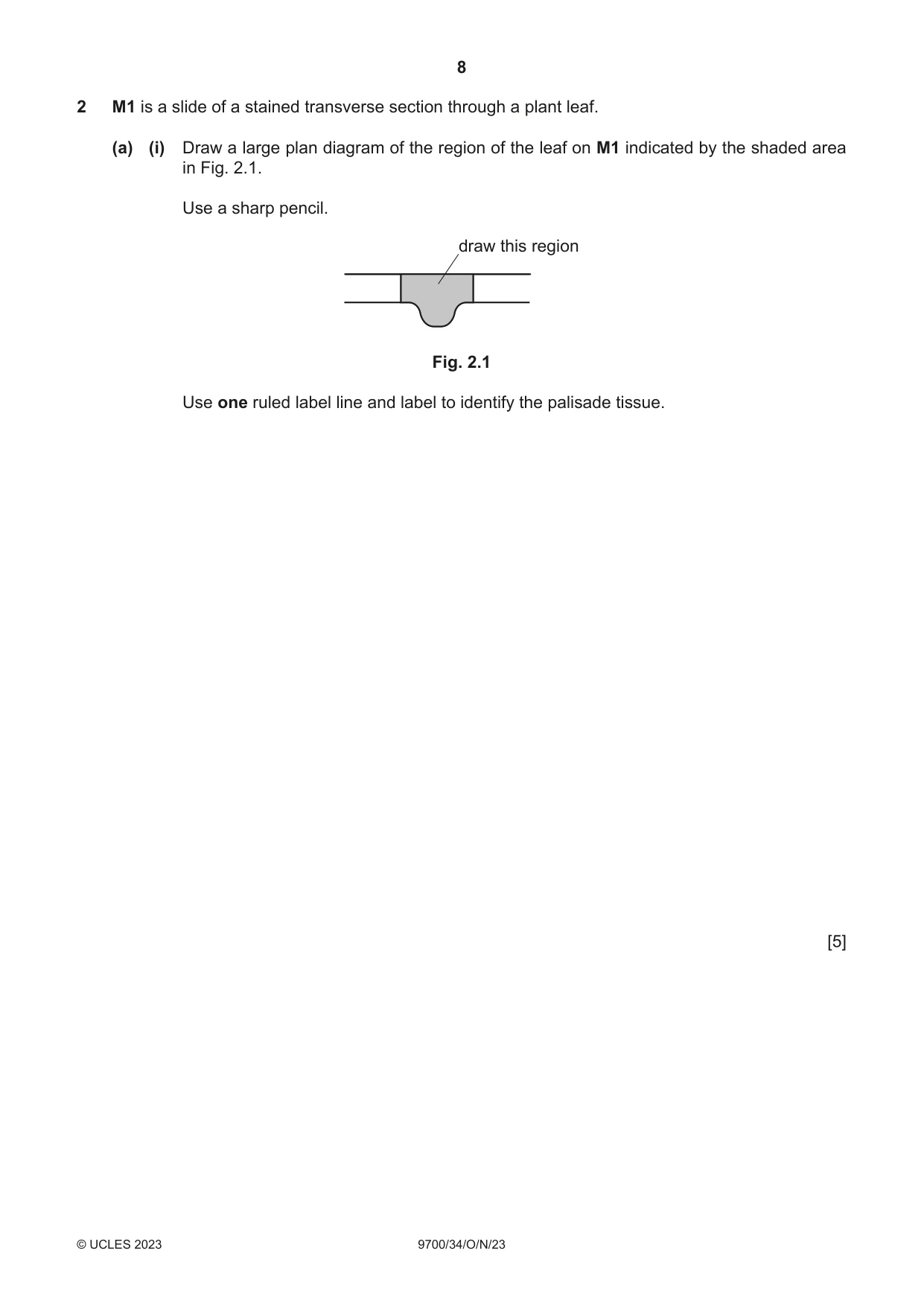 Cambridge A Level Biology 9700 2023 Oct/Nov Paper 3 · Variant 4 question paper, page 8 of 16