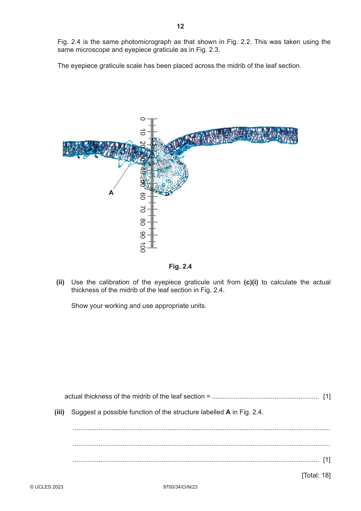 Cambridge A Level Biology 9700 2023 Oct/Nov Paper 3 · Variant 4 question paper, page 12 of 16