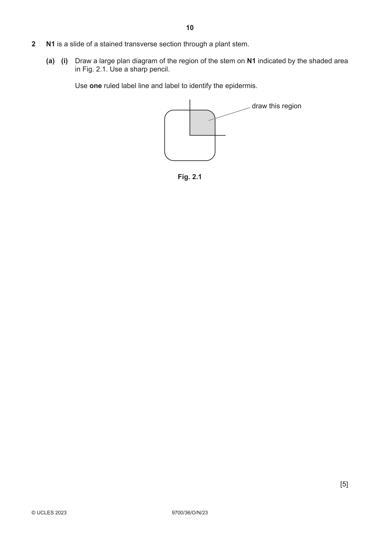 Cambridge A Level Biology 9700 2023 Oct/Nov Paper 3 · Variant 6 question paper, page 10 of 16