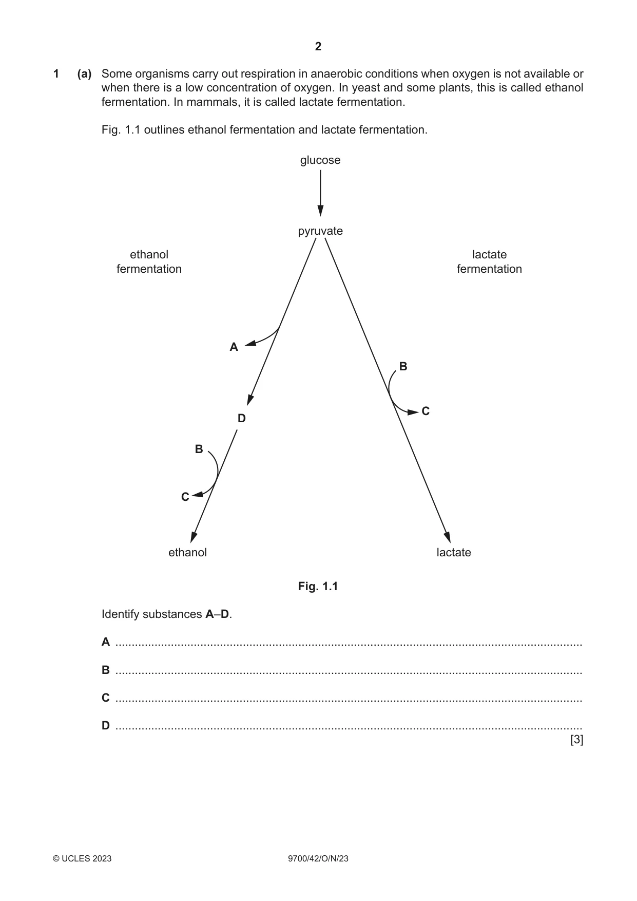 Cambridge A Level Biology 9700 2023 Oct/Nov Paper 4 · Variant 2 question paper, page 2 of 24