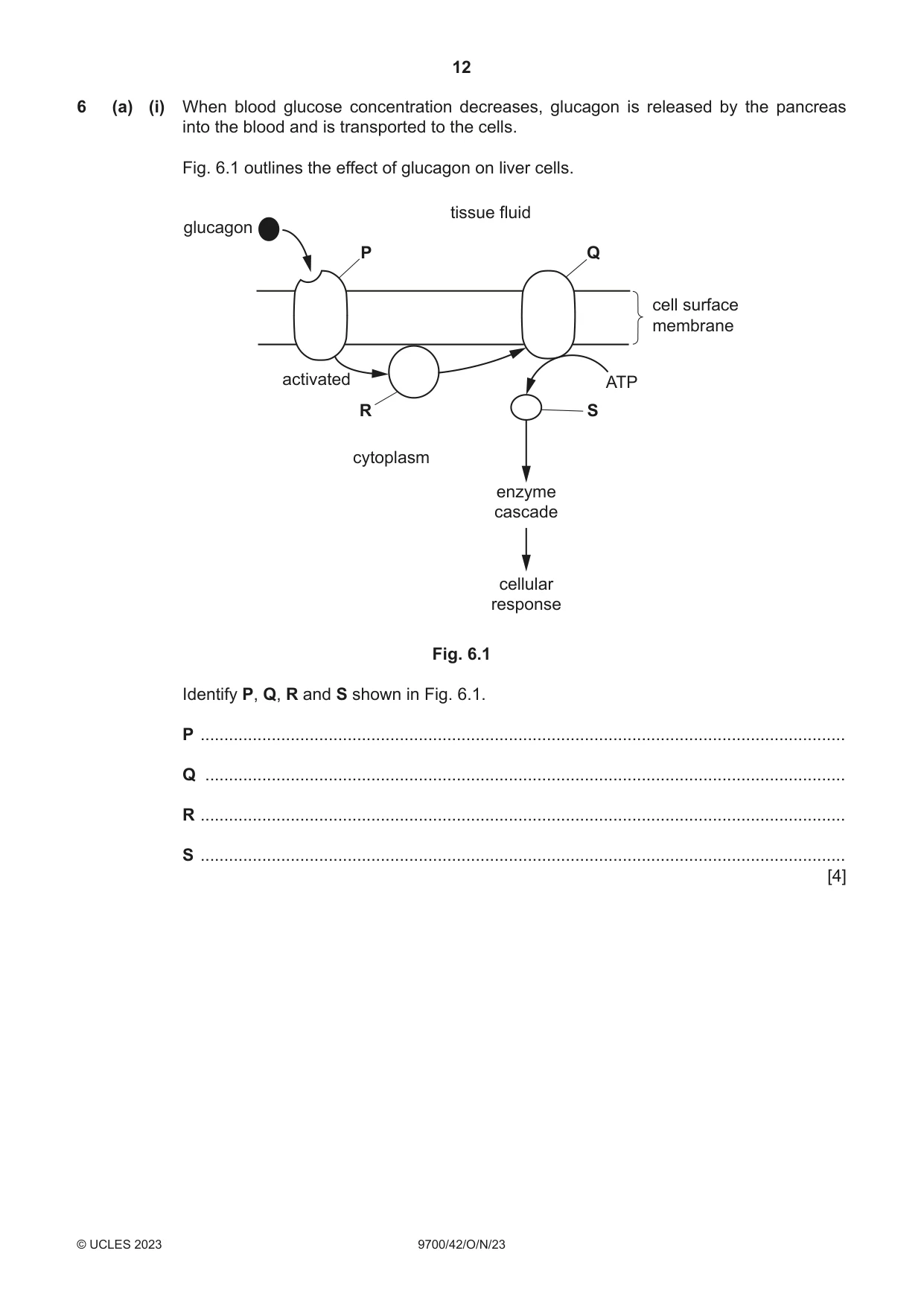 Cambridge A Level Biology 9700 2023 Oct/Nov Paper 4 · Variant 2 question paper, page 12 of 24