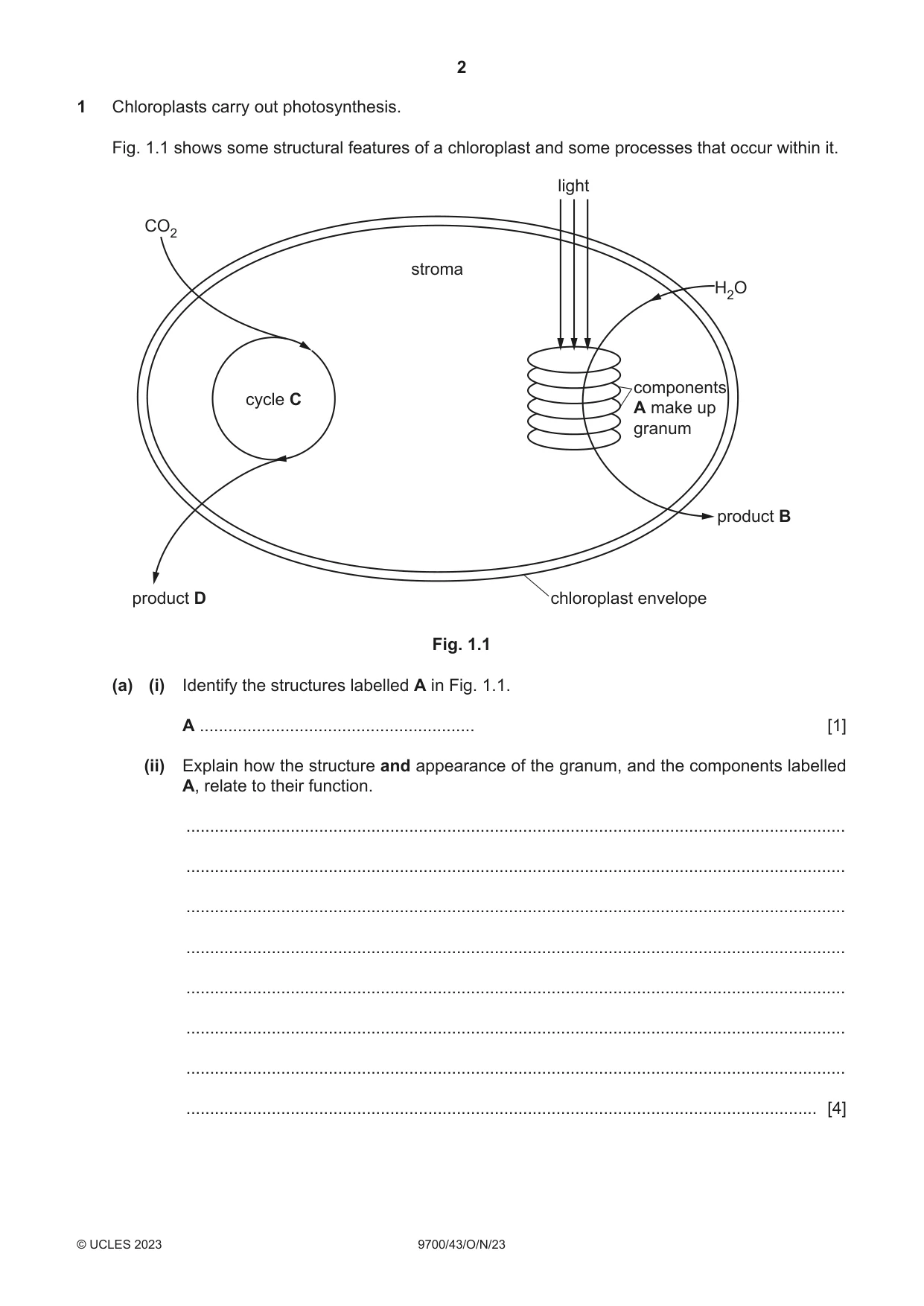 Cambridge A Level Biology 9700 2023 Oct/Nov Paper 4 · Variant 3 question paper, page 2 of 28