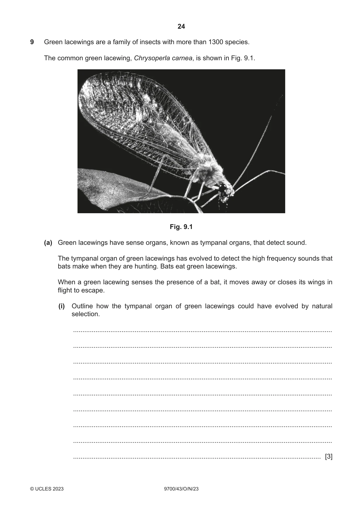 Cambridge A Level Biology 9700 2023 Oct/Nov Paper 4 · Variant 3 question paper, page 24 of 28