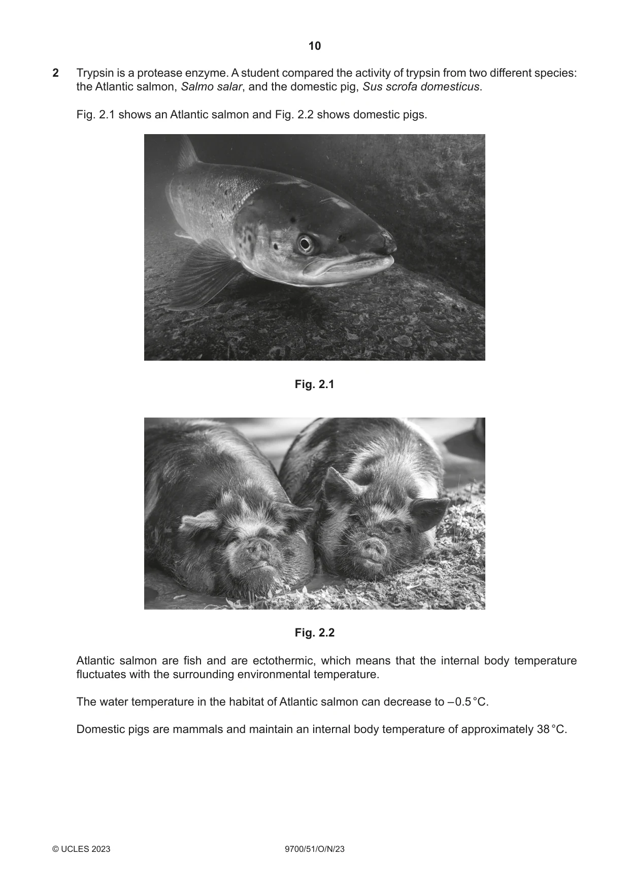 Cambridge A Level Biology 9700 2023 Oct/Nov Paper 5 · Variant 1 question paper, page 10 of 16