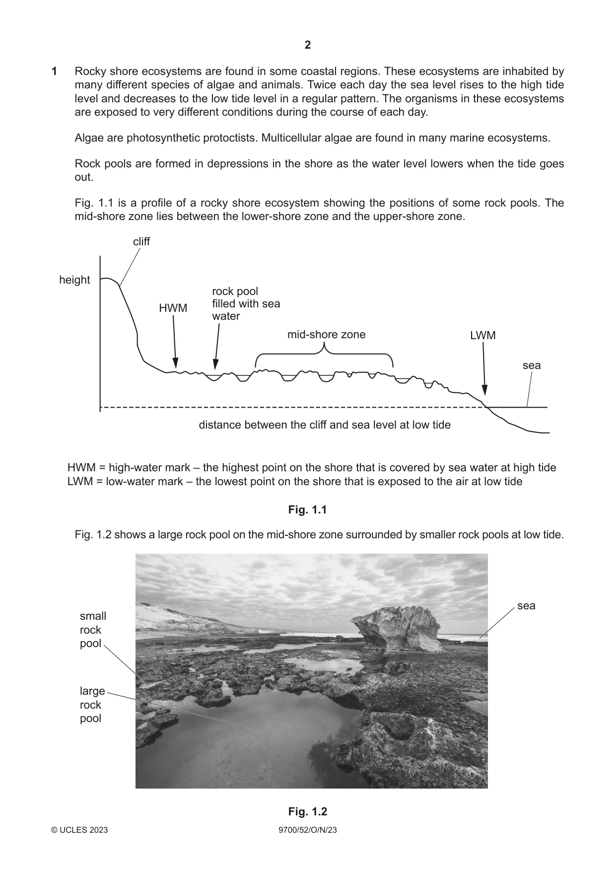 Cambridge A Level Biology 9700 2023 Oct/Nov Paper 5 · Variant 2 question paper, page 2 of 16
