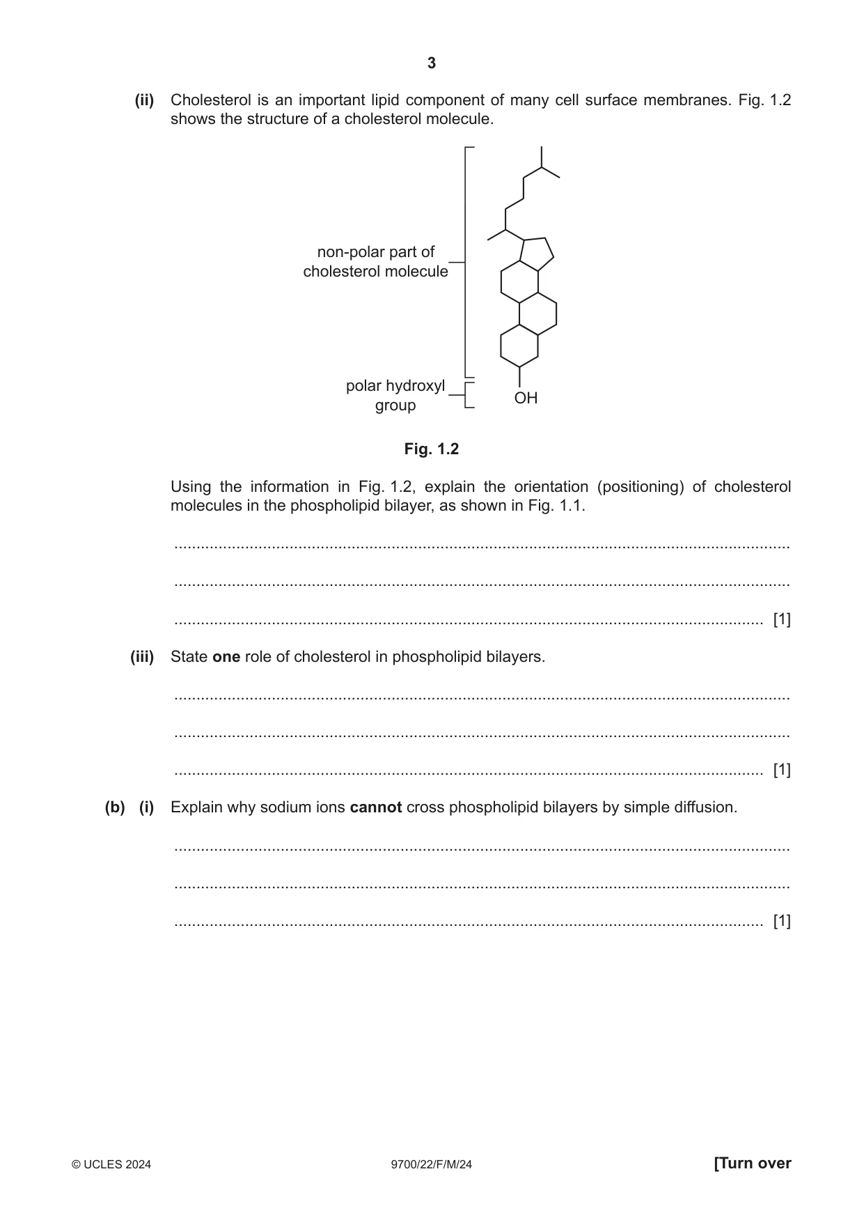 Cambridge A Level Biology 9700 2024 Feb/March Paper 2 · Variant 2 question paper, page 3 of 20