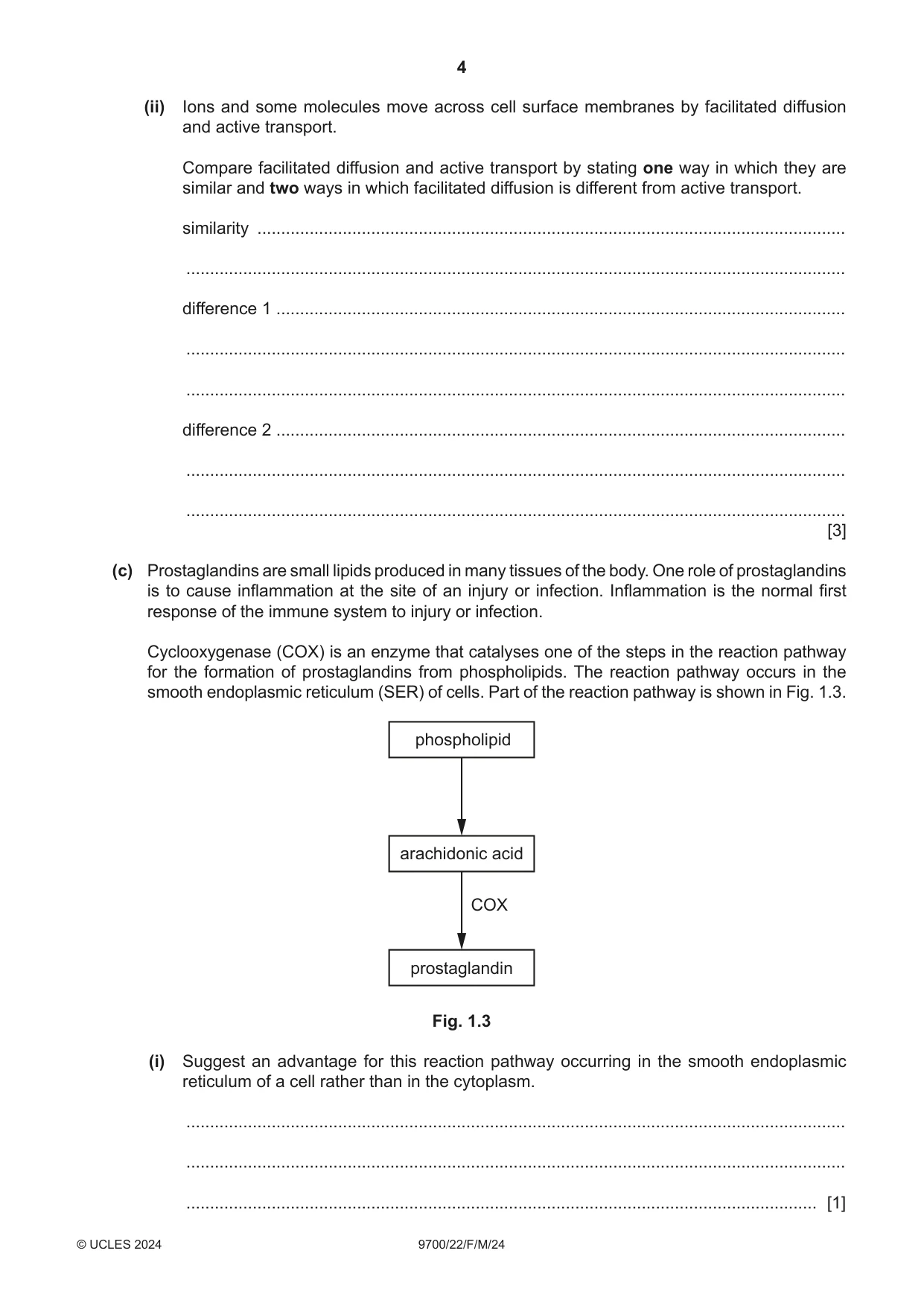 Cambridge A Level Biology 9700 2024 Feb/March Paper 2 · Variant 2 question paper, page 4 of 20