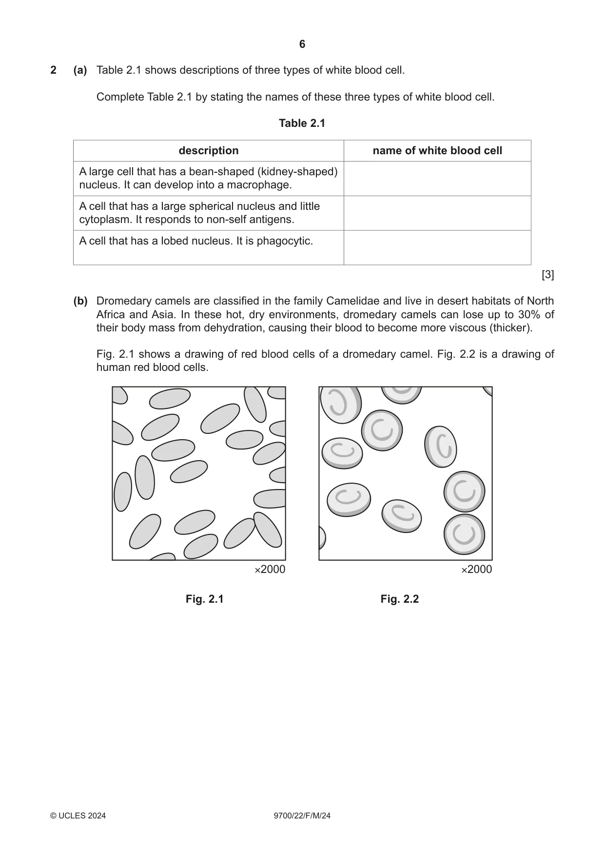 Cambridge A Level Biology 9700 2024 Feb/March Paper 2 · Variant 2 question paper, page 6 of 20
