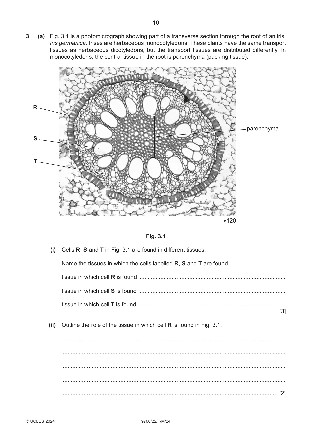 Cambridge A Level Biology 9700 2024 Feb/March Paper 2 · Variant 2 question paper, page 10 of 20
