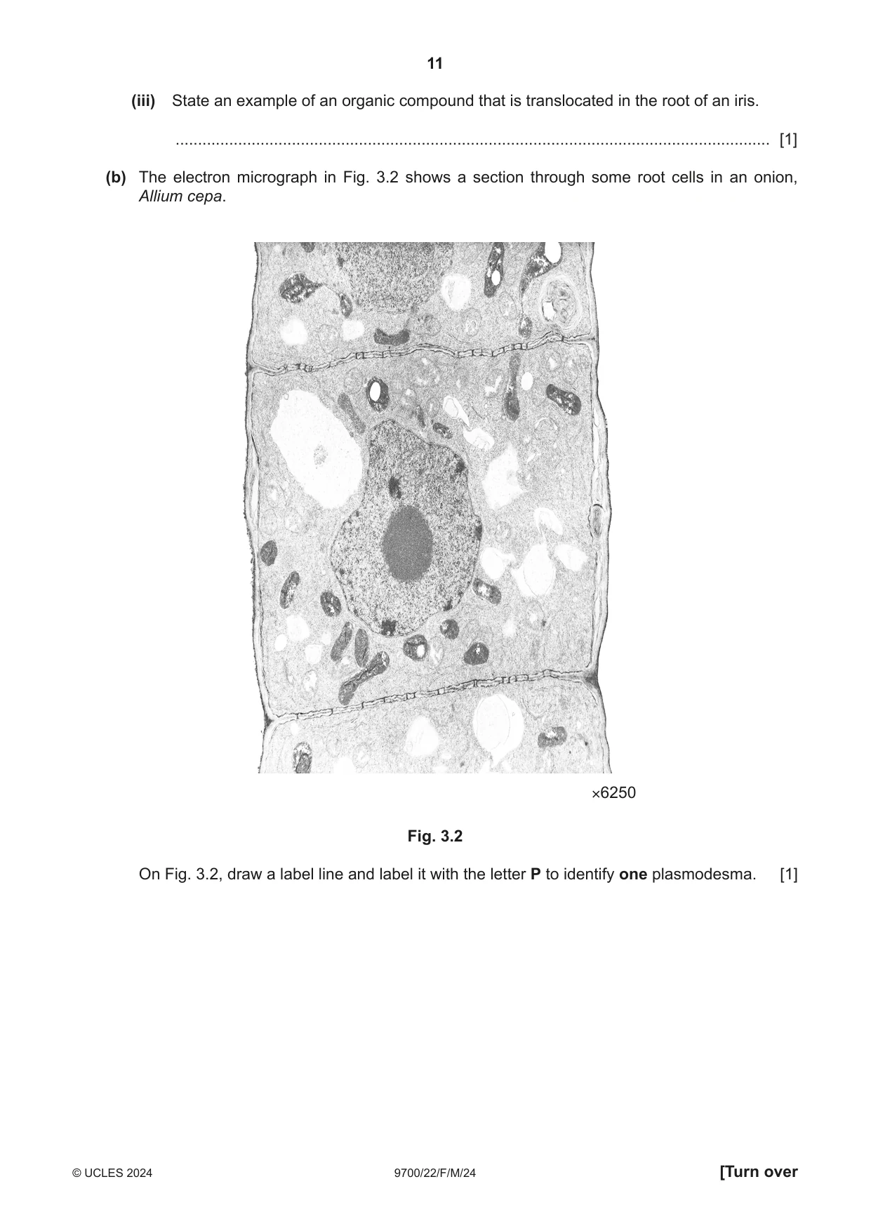 Cambridge A Level Biology 9700 2024 Feb/March Paper 2 · Variant 2 question paper, page 11 of 20