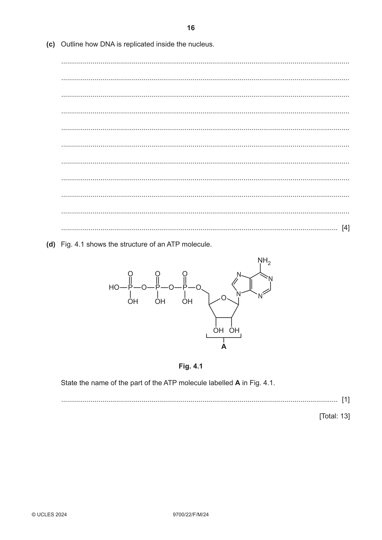 Cambridge A Level Biology 9700 2024 Feb/March Paper 2 · Variant 2 question paper, page 16 of 20