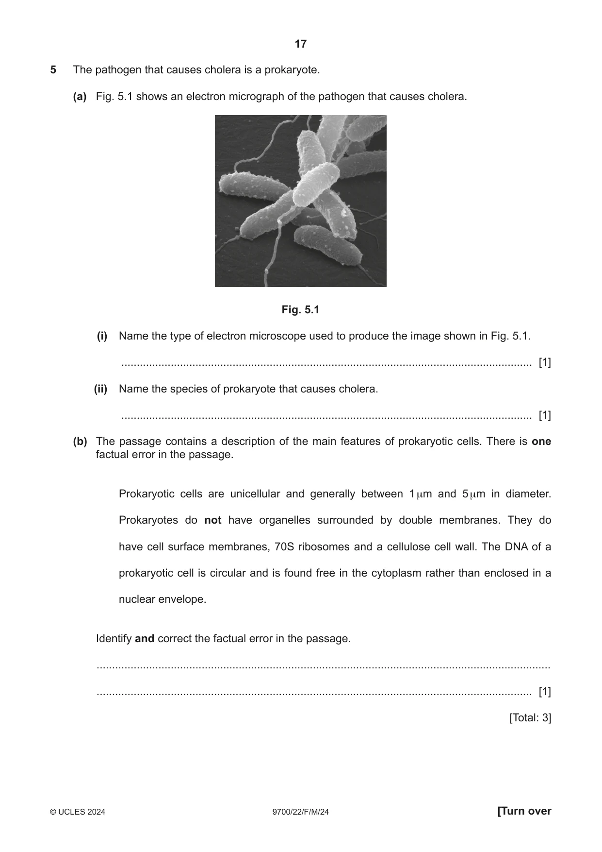 Cambridge A Level Biology 9700 2024 Feb/March Paper 2 · Variant 2 question paper, page 17 of 20