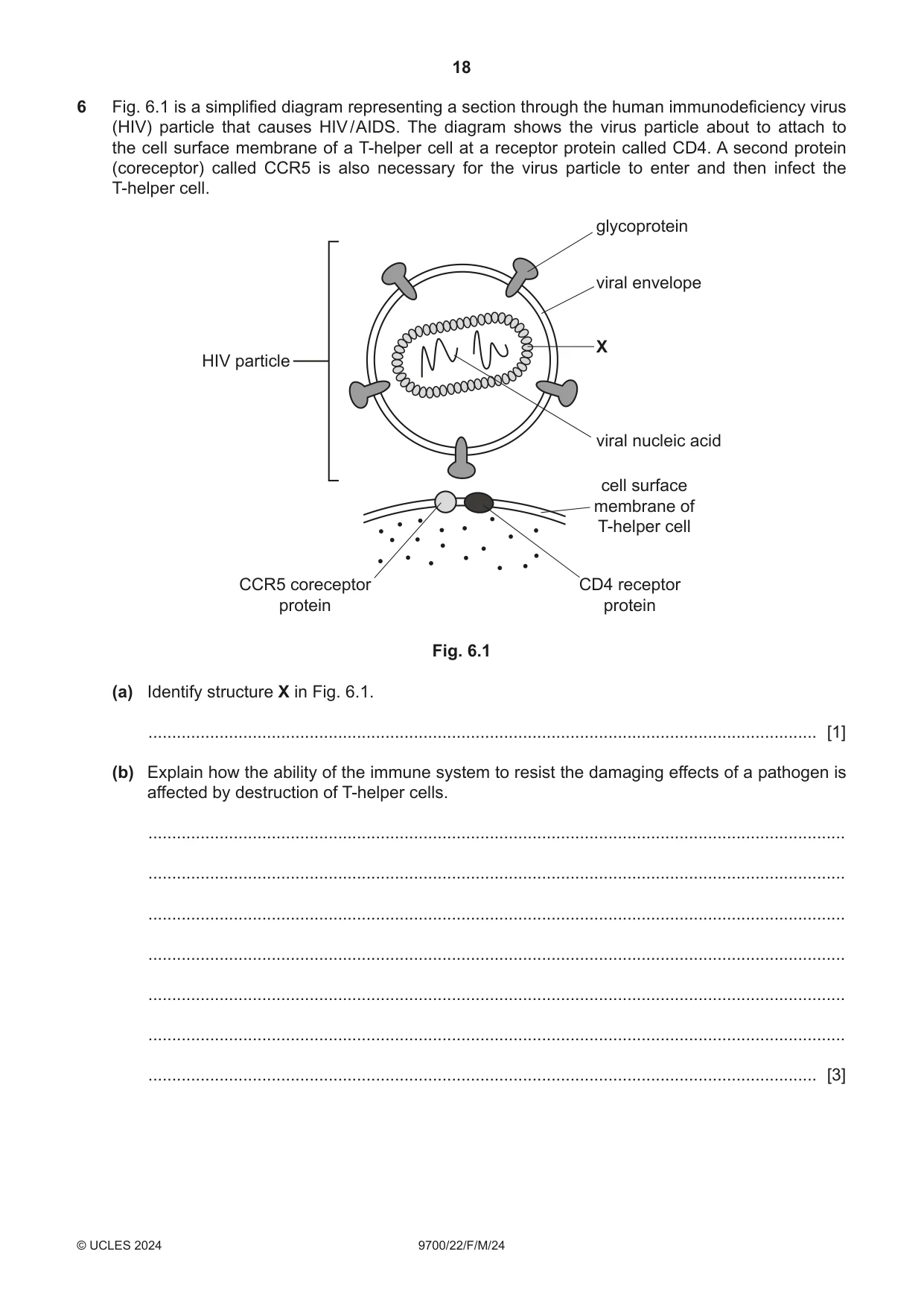 Cambridge A Level Biology 9700 2024 Feb/March Paper 2 · Variant 2 question paper, page 18 of 20