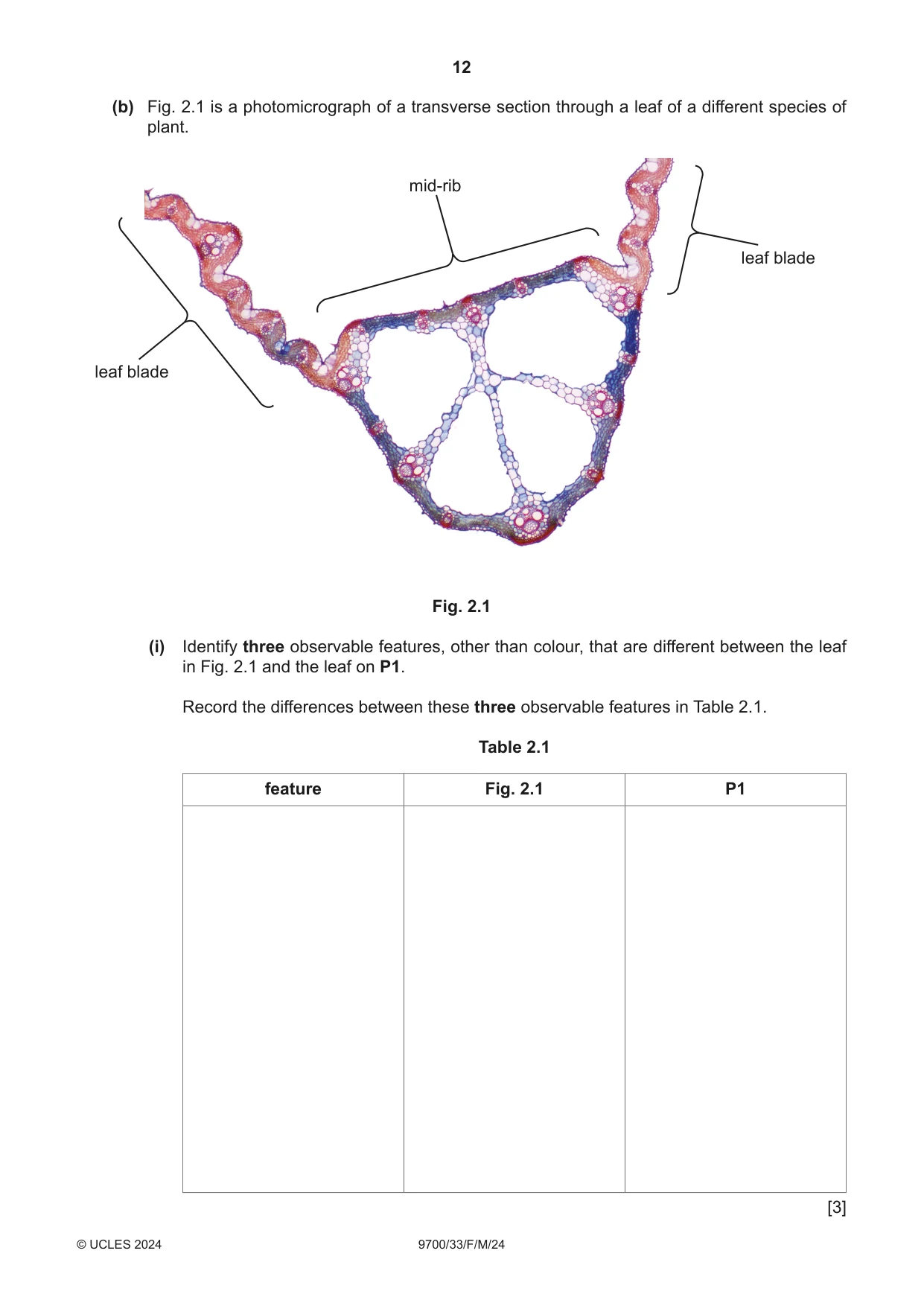 Cambridge A Level Biology 9700 2024 Feb/March Paper 3 · Variant 3 question paper, page 12 of 16