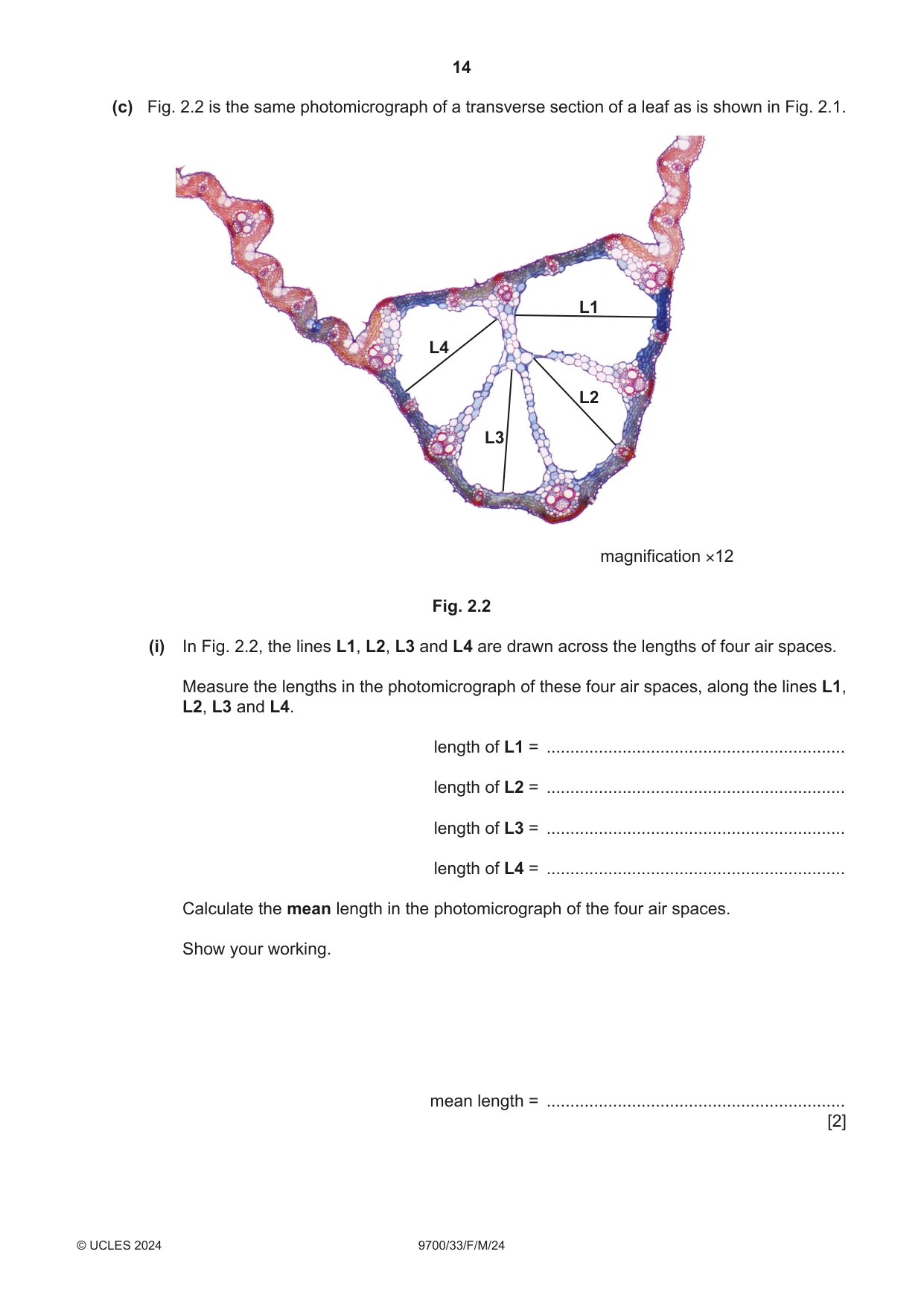 Cambridge A Level Biology 9700 2024 Feb/March Paper 3 · Variant 3 question paper, page 14 of 16
