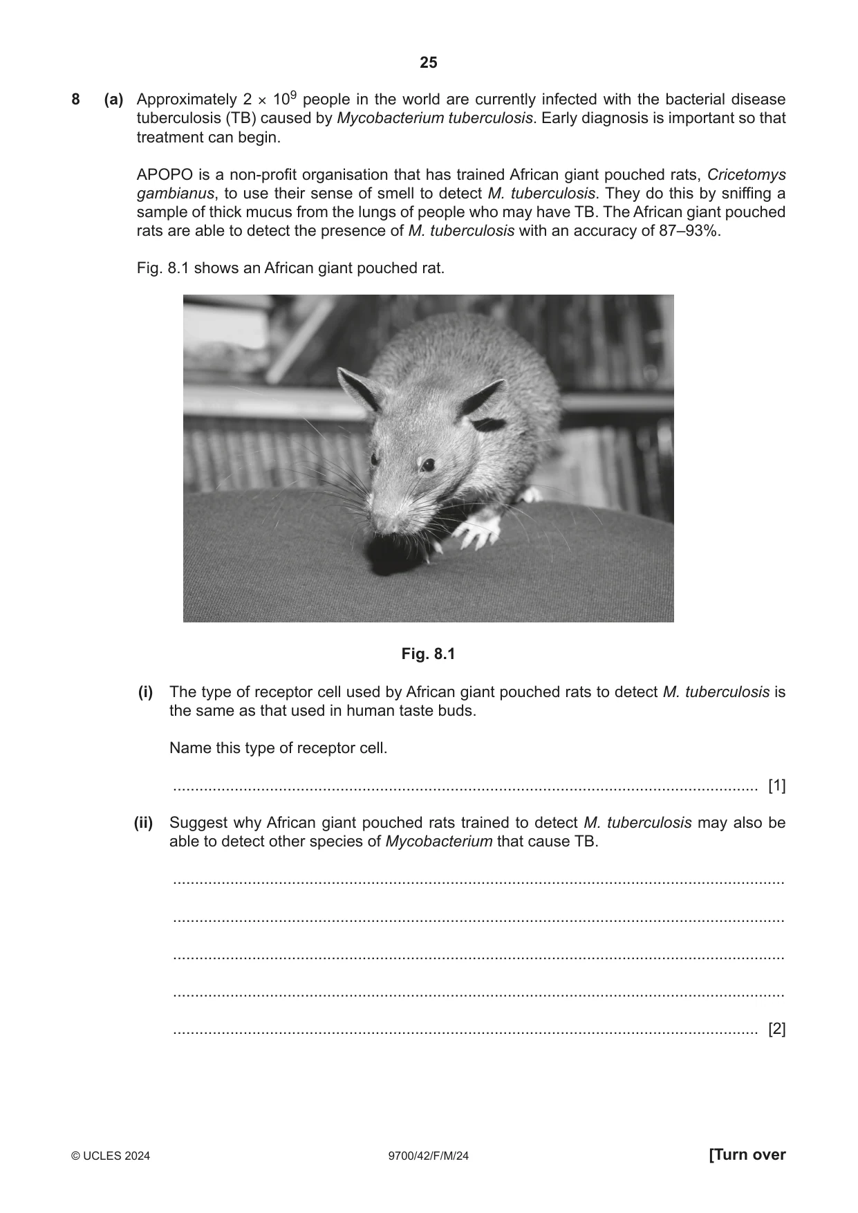 Cambridge A Level Biology 9700 2024 Feb/March Paper 4 · Variant 2 question paper, page 25 of 32