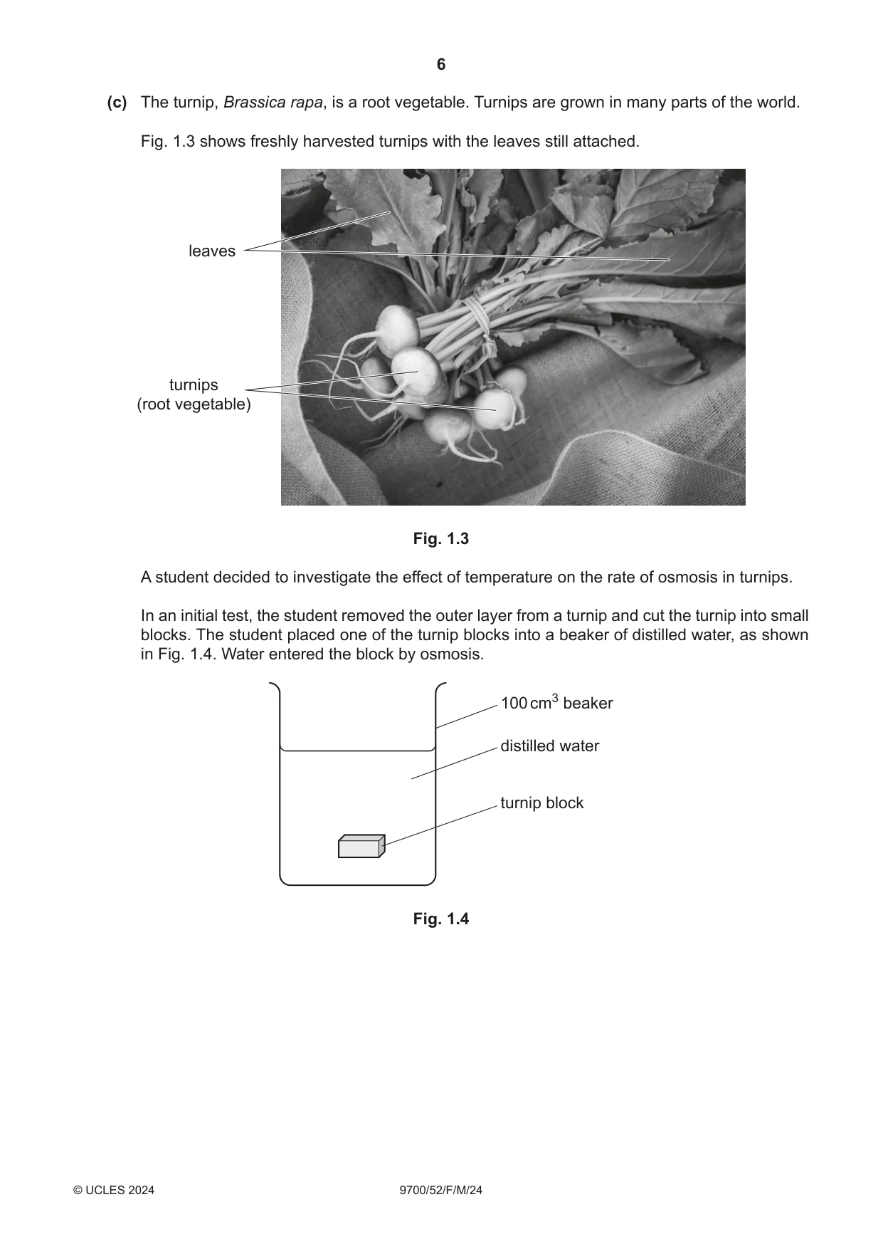 Cambridge A Level Biology 9700 2024 Feb/March Paper 5 · Variant 2 question paper, page 6 of 16