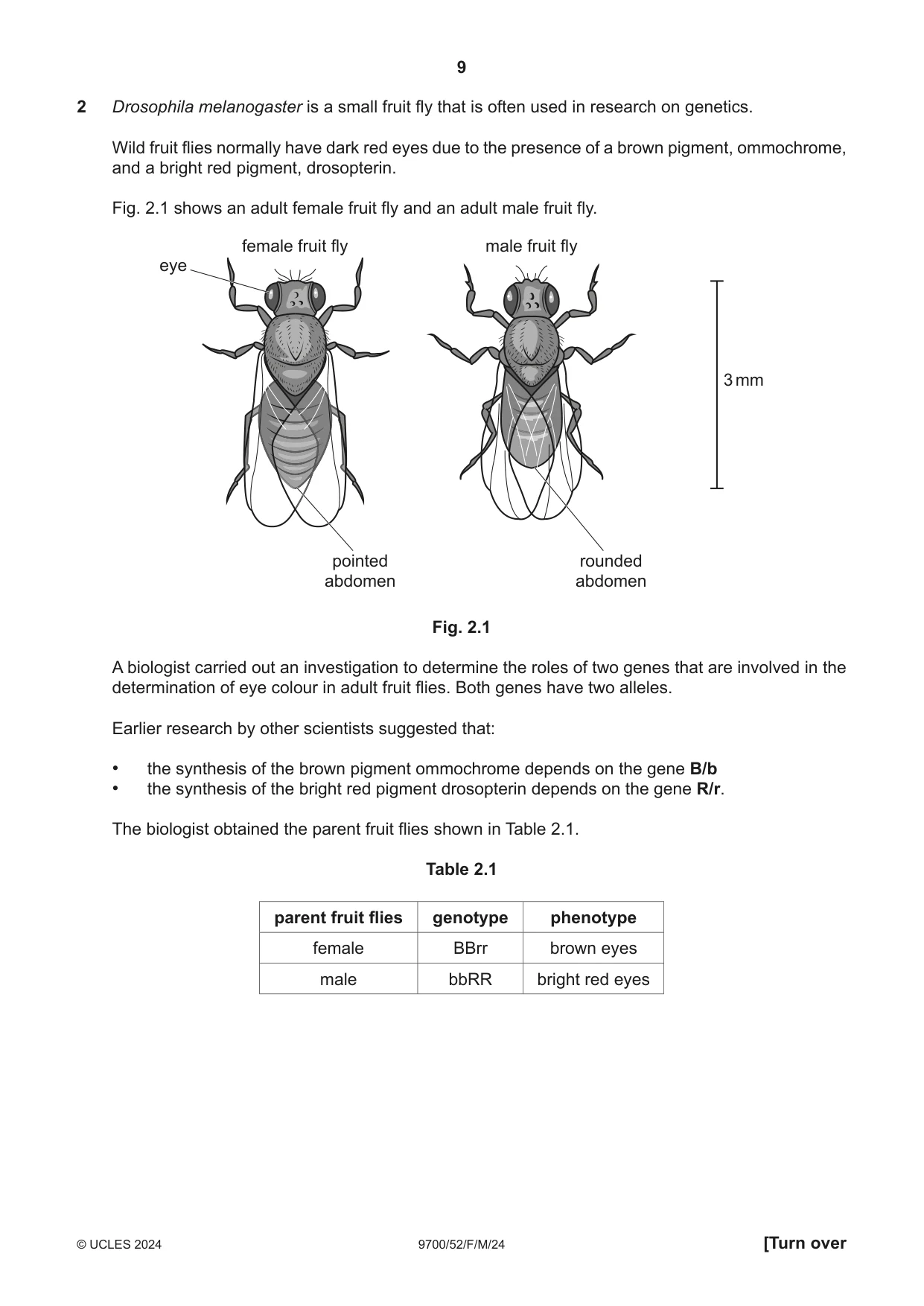 Cambridge A Level Biology 9700 2024 Feb/March Paper 5 · Variant 2 question paper, page 9 of 16