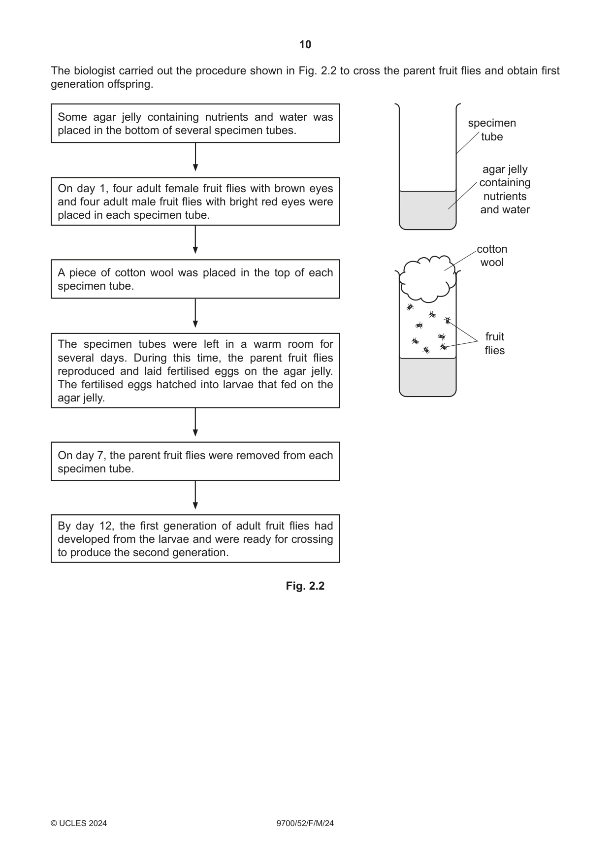 Cambridge A Level Biology 9700 2024 Feb/March Paper 5 · Variant 2 question paper, page 10 of 16