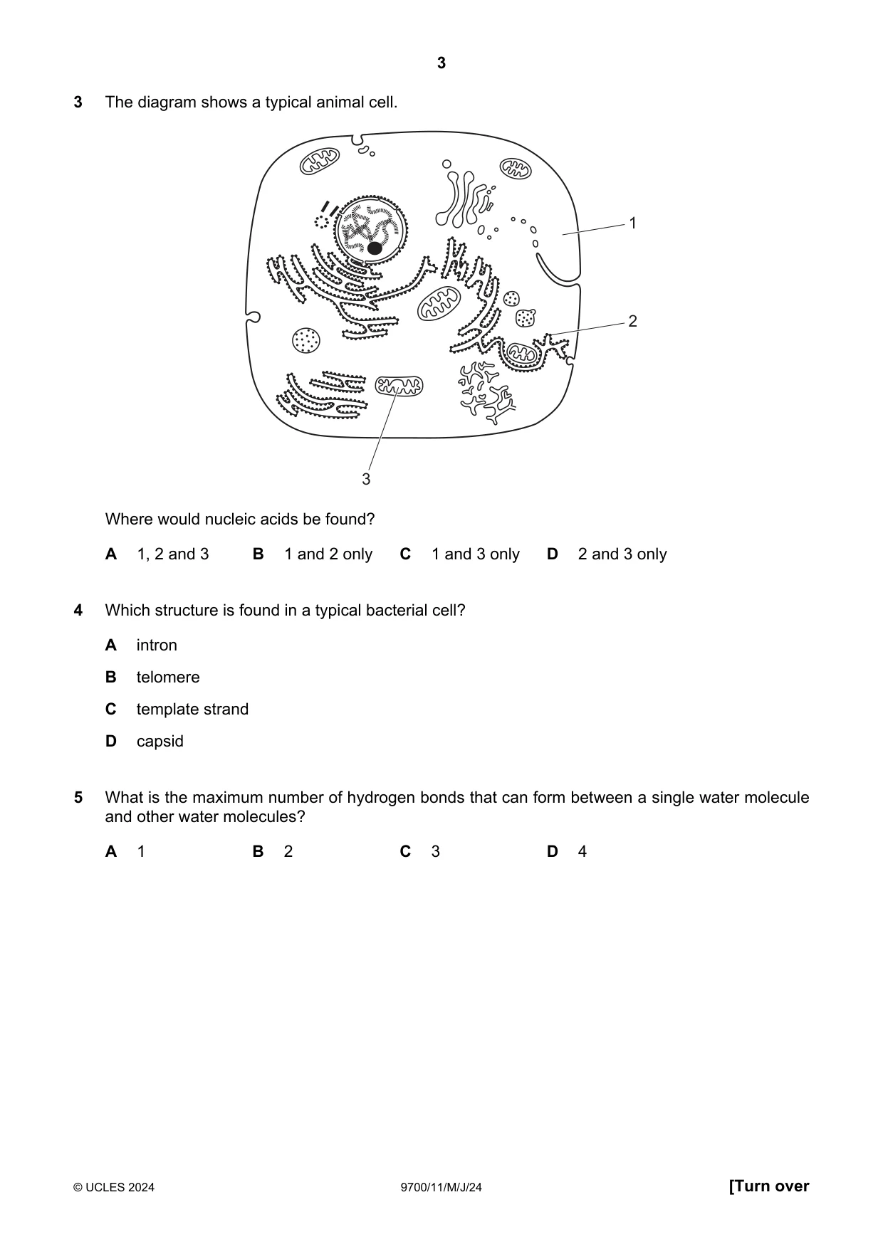 Cambridge A Level Biology 9700 2024 May/June Paper 1 · Variant 1 question paper, page 3 of 20