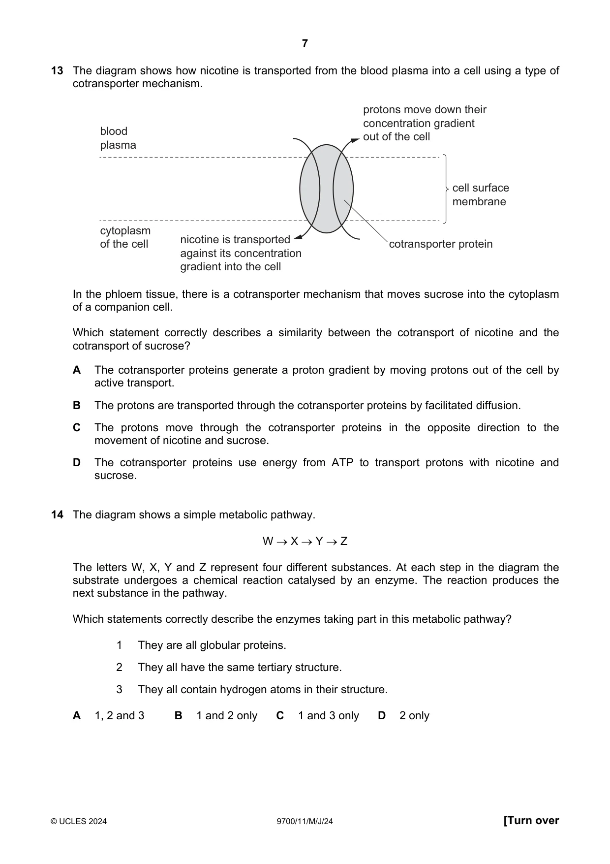 Cambridge A Level Biology 9700 2024 May/June Paper 1 · Variant 1 question paper, page 7 of 20