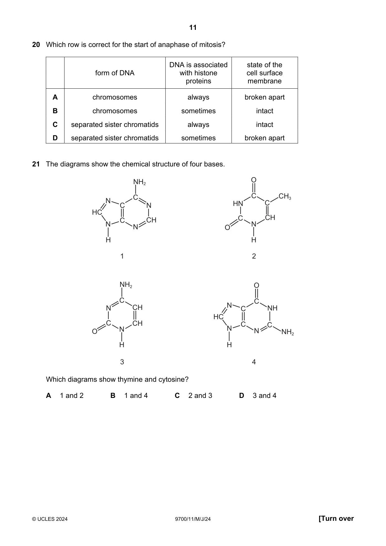Cambridge A Level Biology 9700 2024 May/June Paper 1 · Variant 1 question paper, page 11 of 20