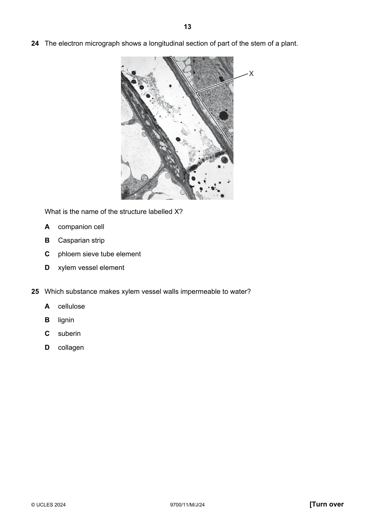Cambridge A Level Biology 9700 2024 May/June Paper 1 · Variant 1 question paper, page 13 of 20