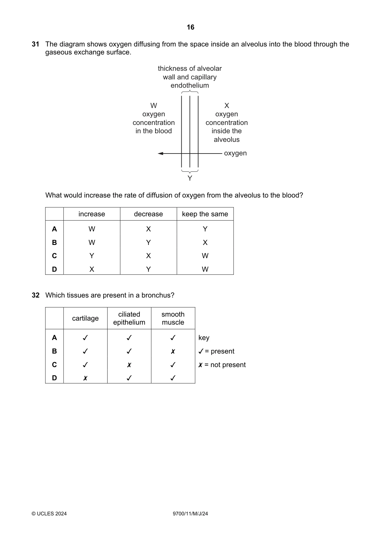 Cambridge A Level Biology 9700 2024 May/June Paper 1 · Variant 1 question paper, page 16 of 20