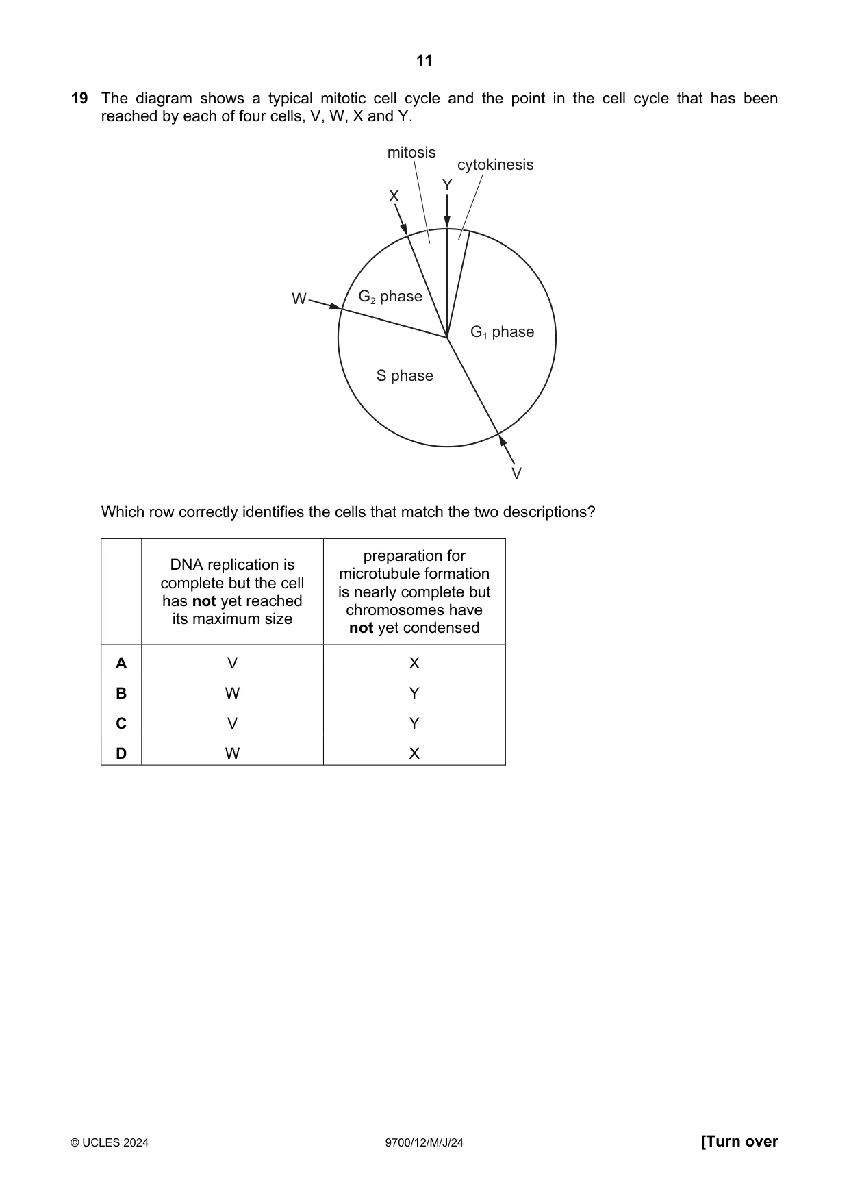Cambridge A Level Biology 9700 2024 May/June Paper 1 · Variant 2 question paper, page 11 of 20
