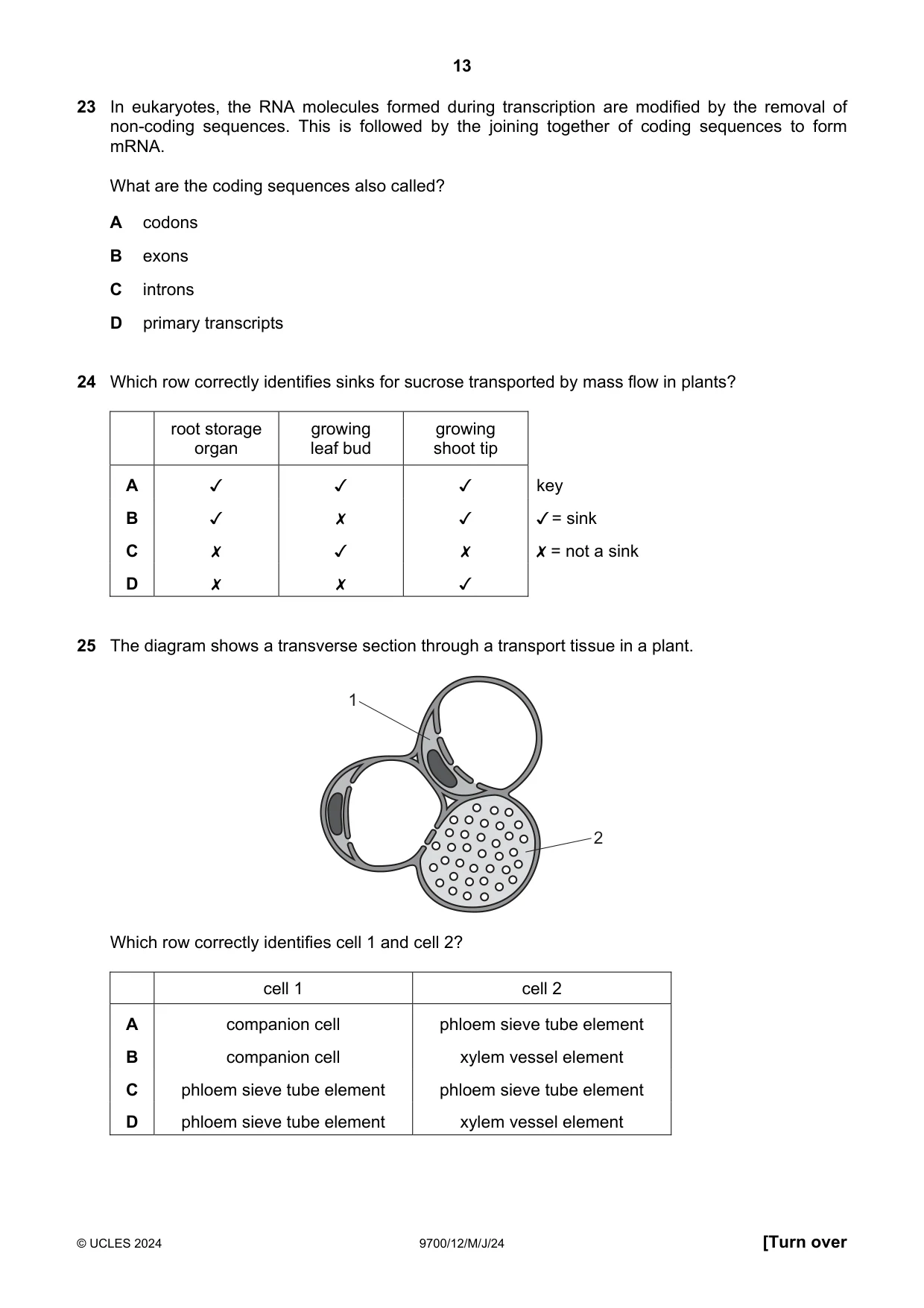 Cambridge A Level Biology 9700 2024 May/June Paper 1 · Variant 2 question paper, page 13 of 20