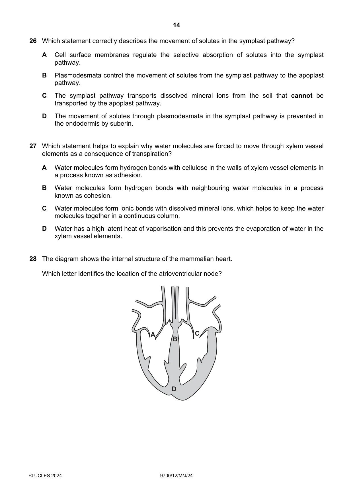 Cambridge A Level Biology 9700 2024 May/June Paper 1 · Variant 2 question paper, page 14 of 20