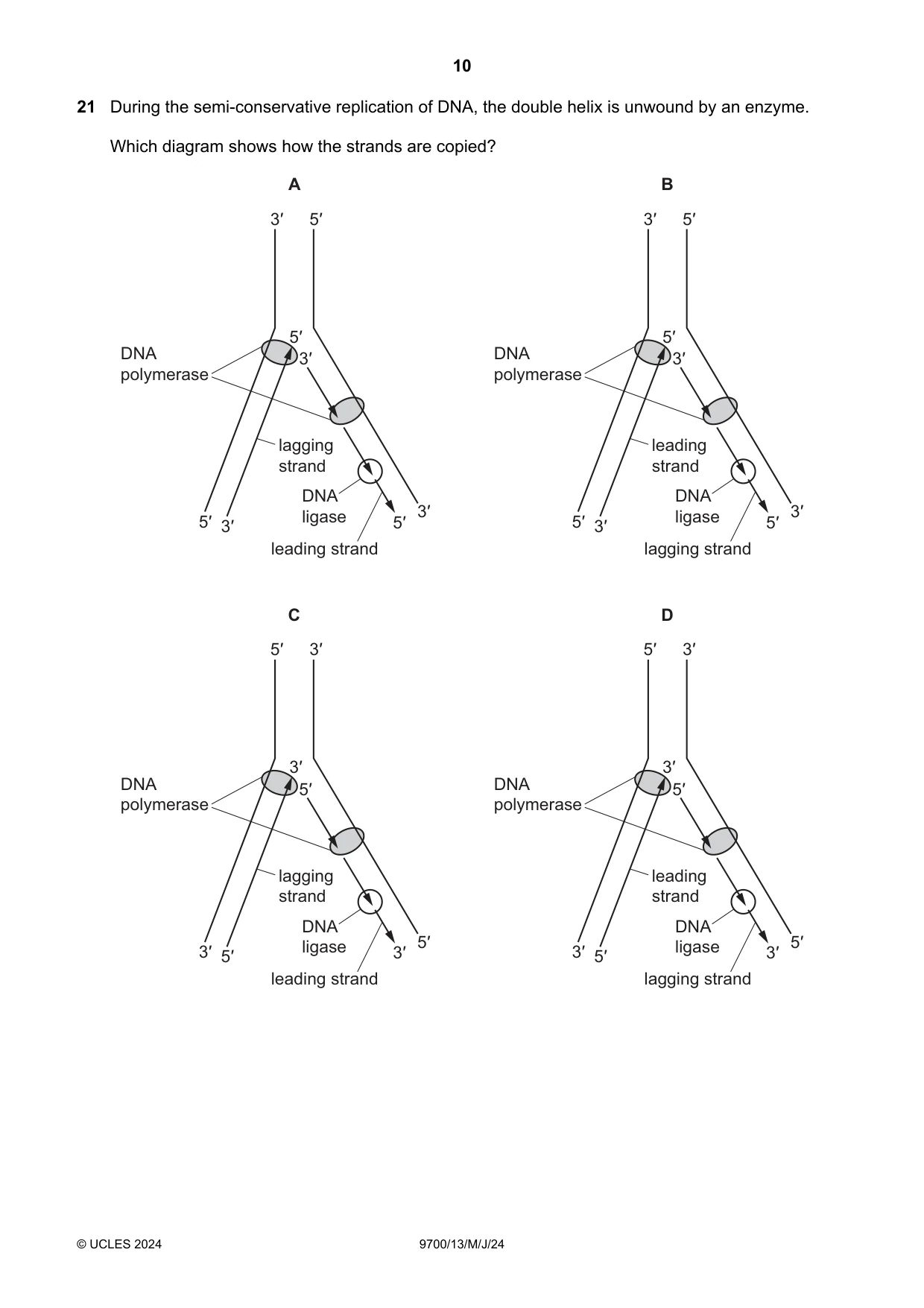 Cambridge A Level Biology 9700 2024 May/June Paper 1 · Variant 3 question paper, page 10 of 20