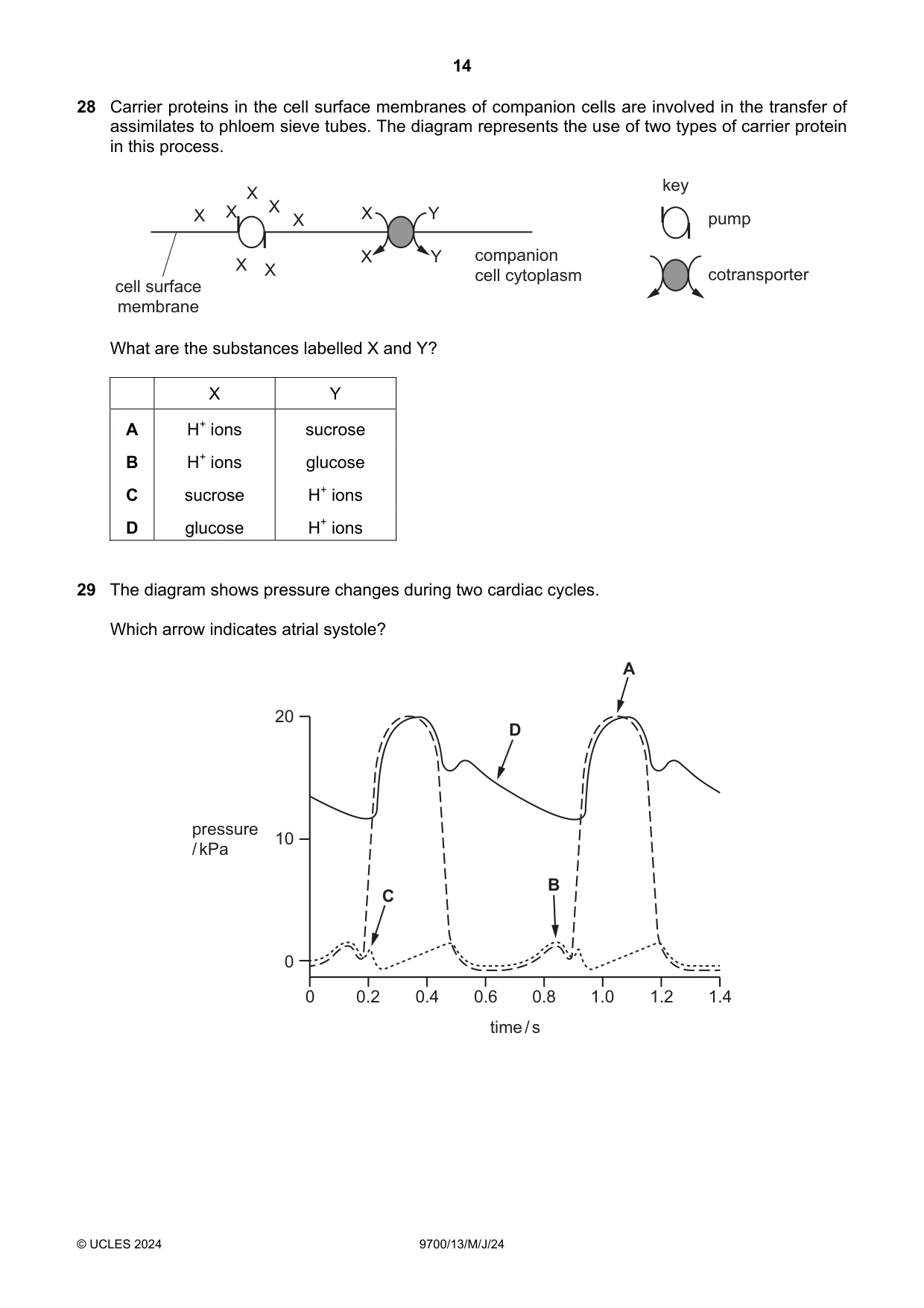 Cambridge A Level Biology 9700 2024 May/June Paper 1 · Variant 3 question paper, page 14 of 20