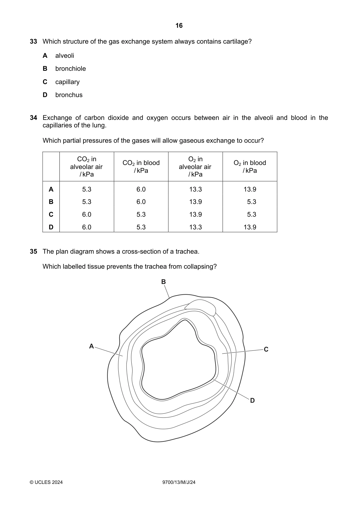 Cambridge A Level Biology 9700 2024 May/June Paper 1 · Variant 3 question paper, page 16 of 20