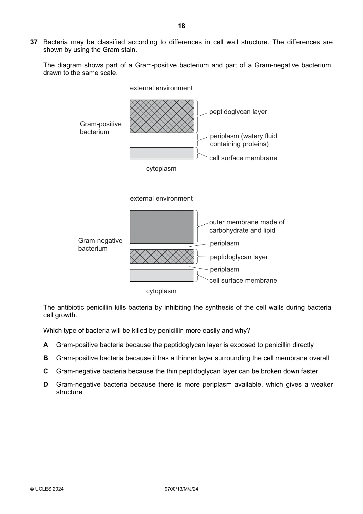 Cambridge A Level Biology 9700 2024 May/June Paper 1 · Variant 3 question paper, page 18 of 20