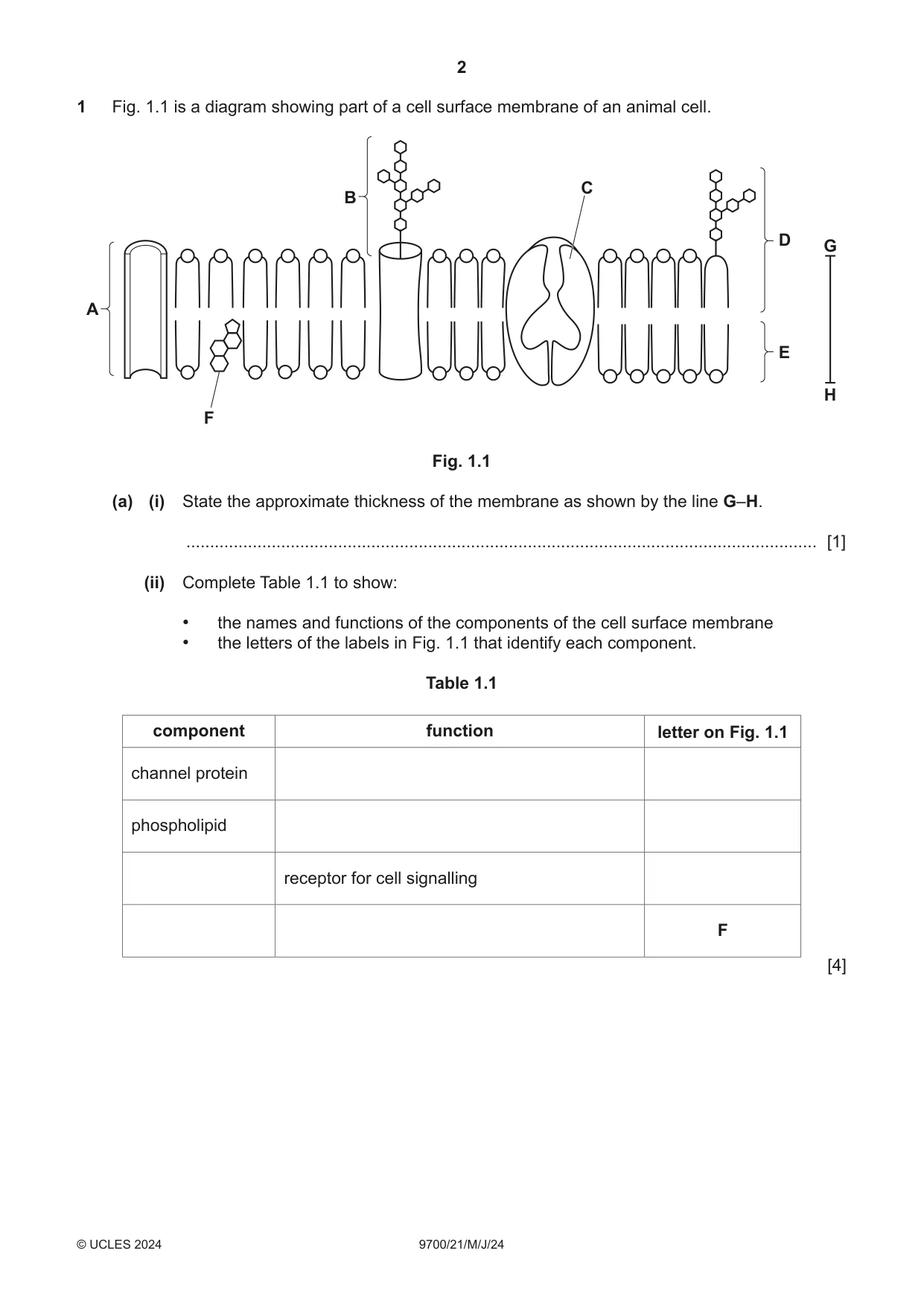 Cambridge A Level Biology 9700 2024 May/June Paper 2 · Variant 1 question paper, page 2 of 20